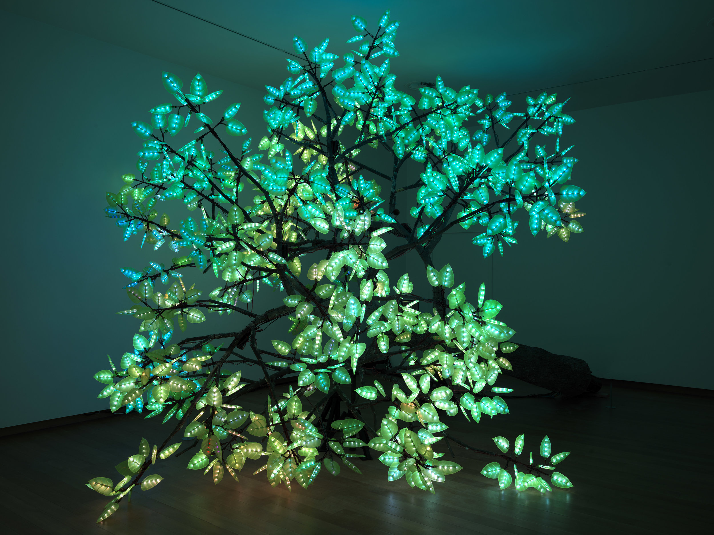 Studio Drift GAZM Tree of Ténéré GJvRooij.jpg