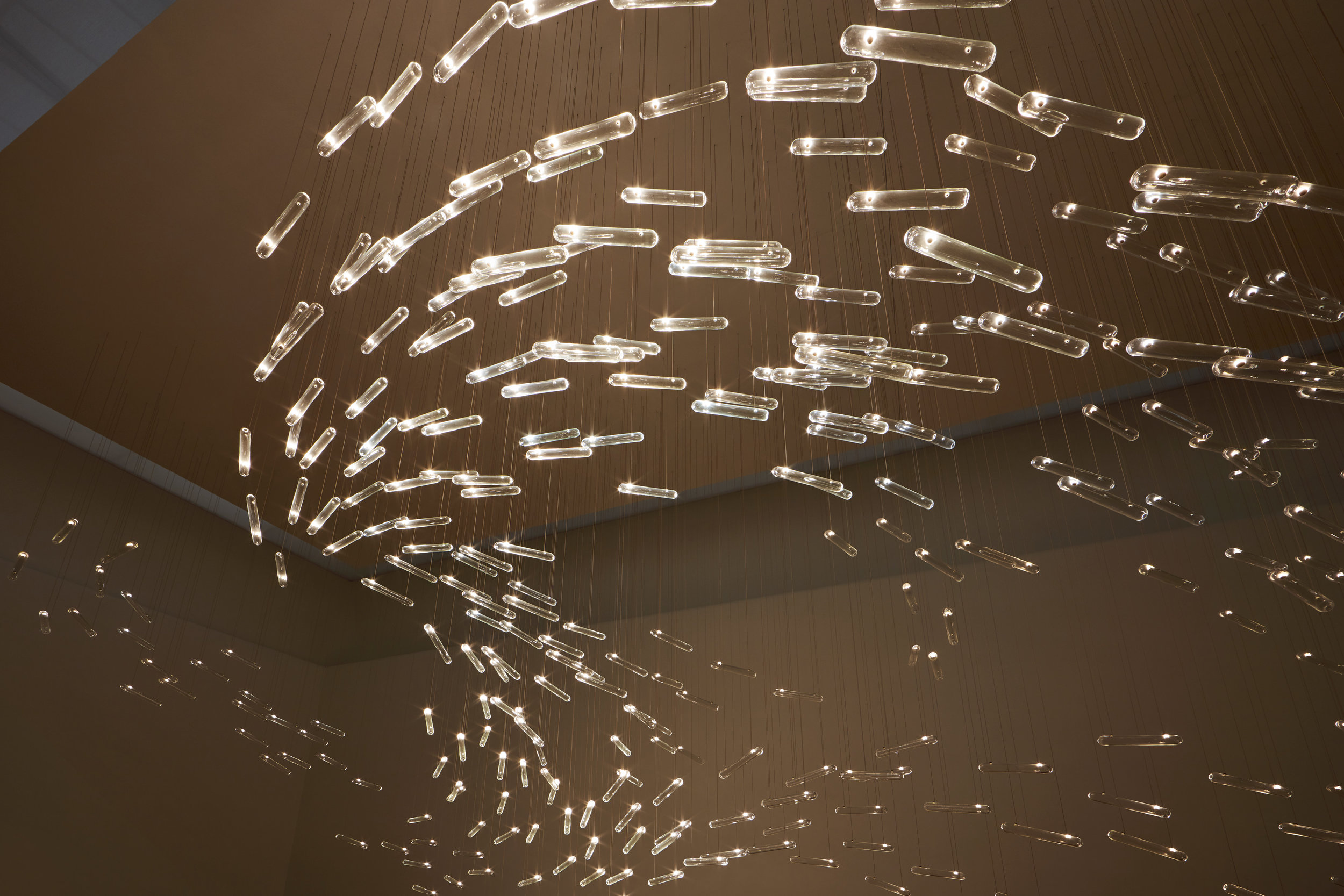 CODED NATURE at Stedelijk Museum, Amsterdam - Photo: Ronald Smits