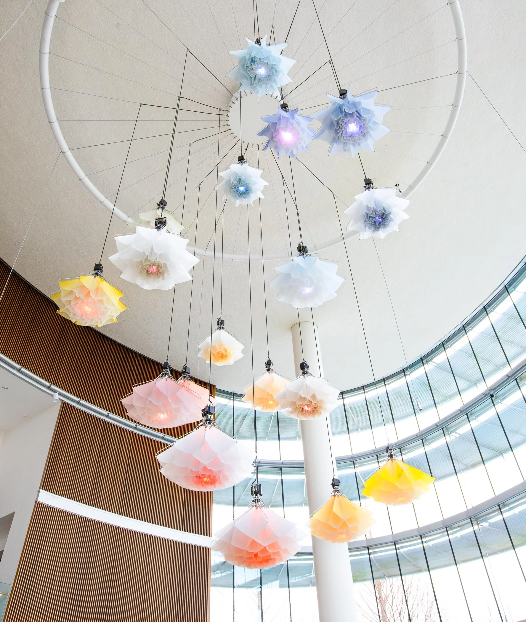 Meadow IMA Newfields