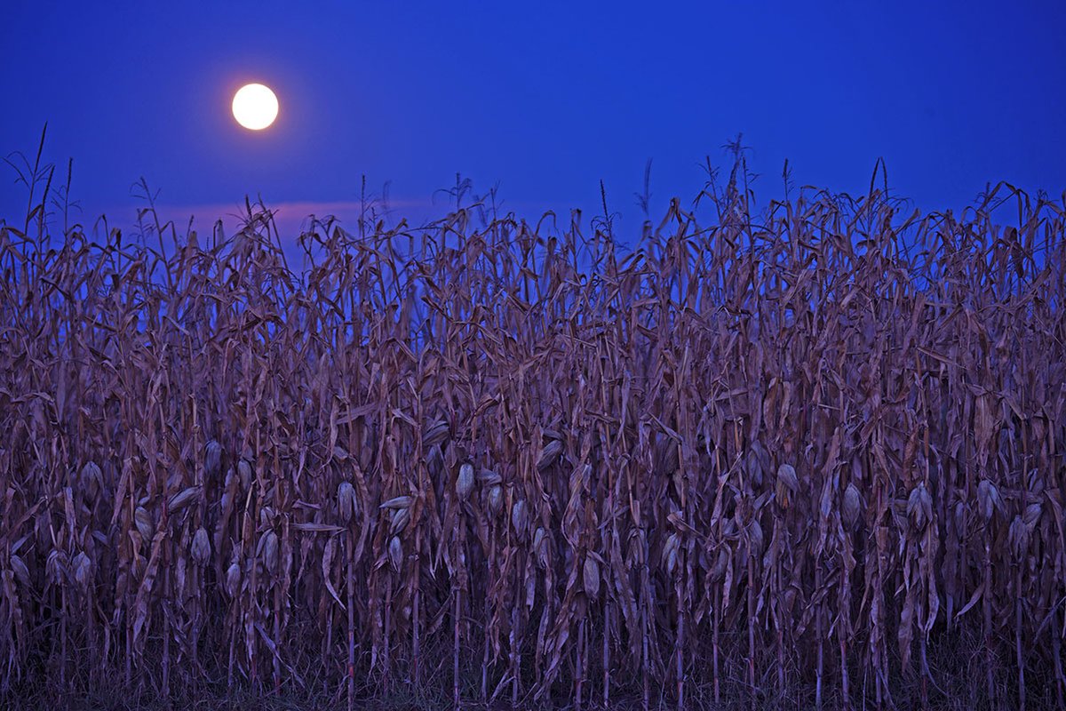 full moon.jpg
