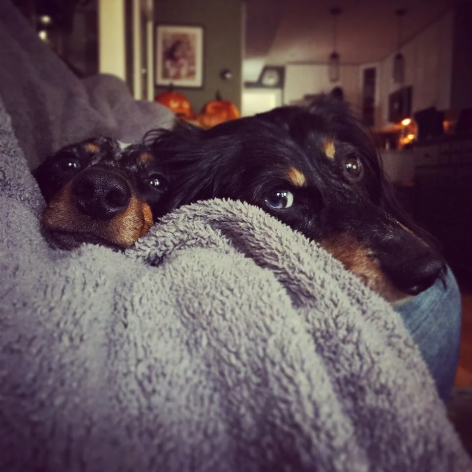 Dereks Phone 007_preview.jpeg