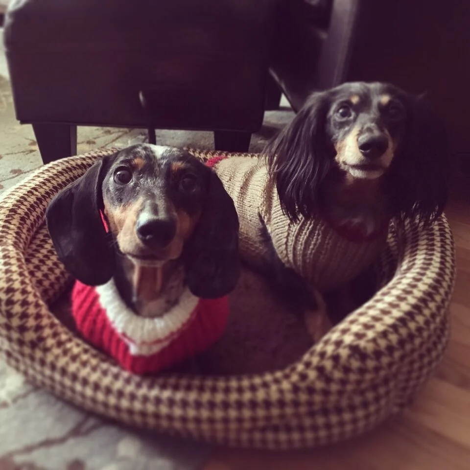 Dereks Phone 009_preview.jpeg