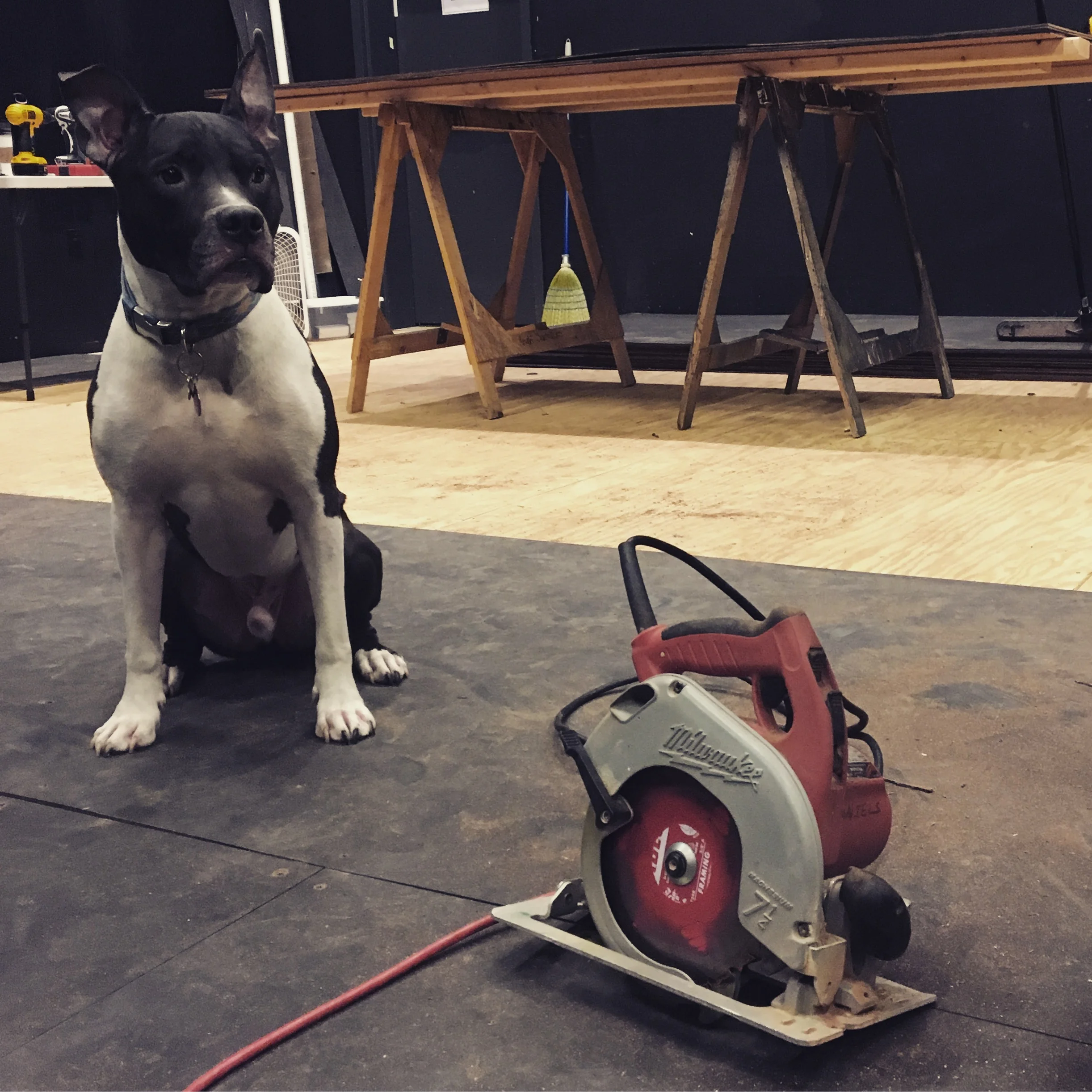 5847CC3F-C092-44F1-9F23-172A7A83E50D (1).jpeg