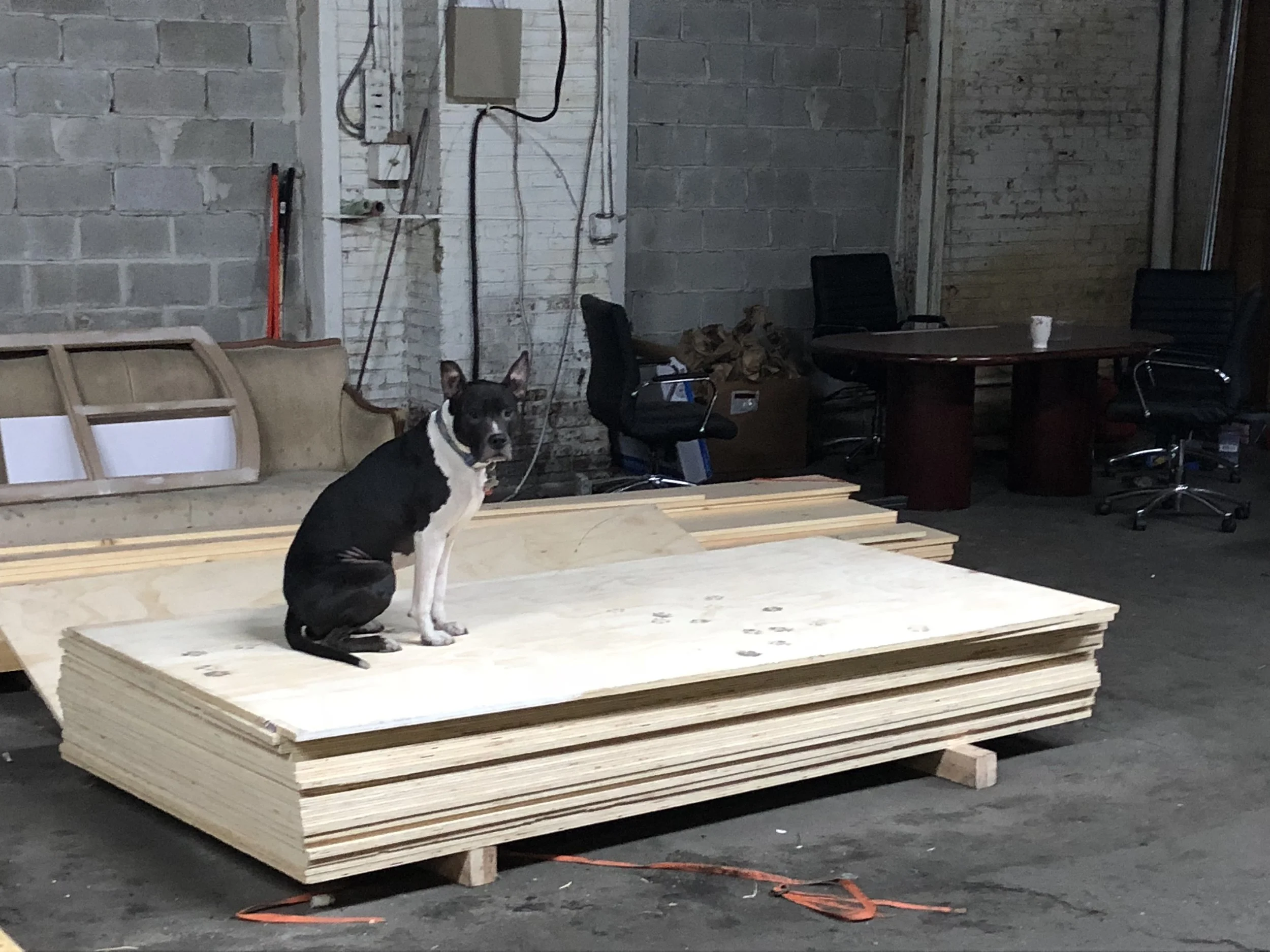 D291208B-F5F2-4EF5-B06C-419C5CB45BF6 (1).jpeg