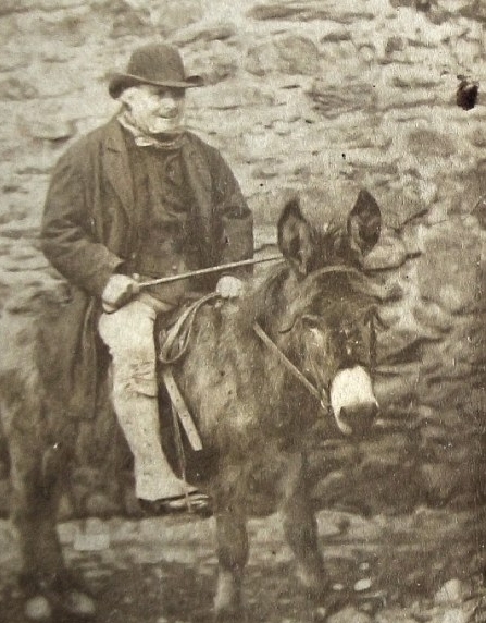 My father, using a donkey to pull a wagon of devil fruit