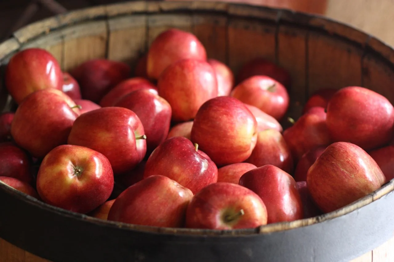 Wholesome fall snack or bowel-shaking nightmare?