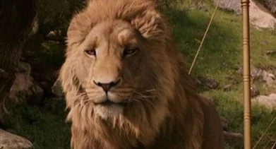 Aslan2005.jpg