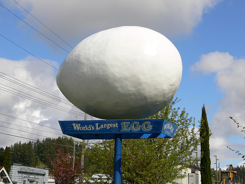 egg.jpg