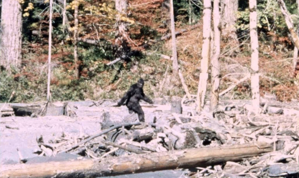 Bigfoot