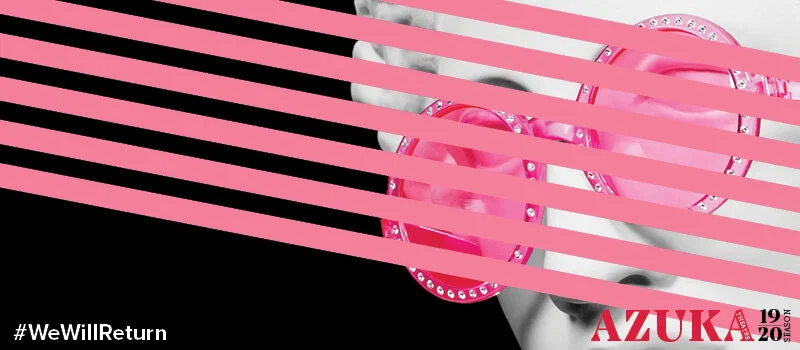 MailChimp_Flamingo Postpone.jpg