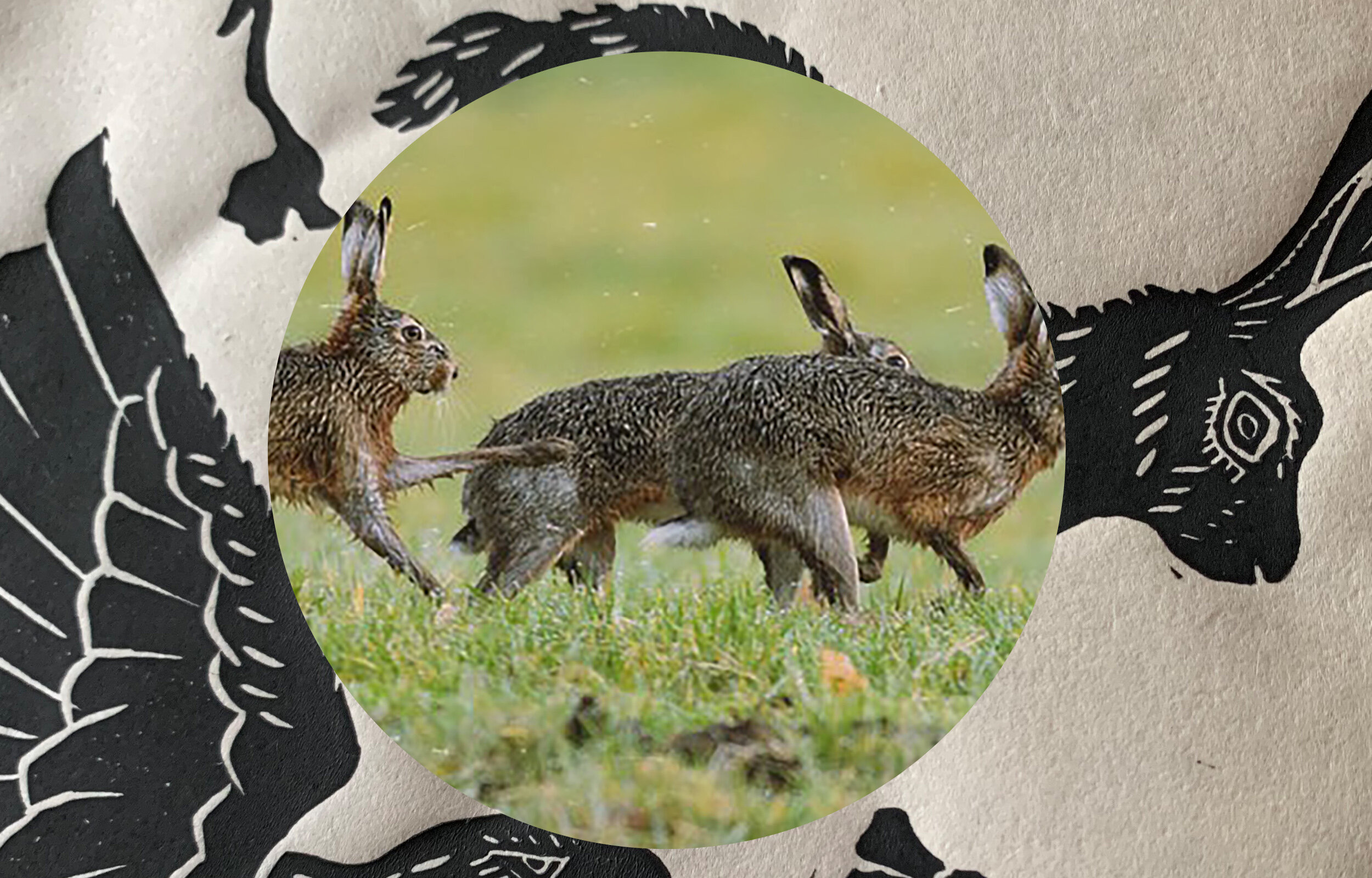 primitive pursuit inspo3.jpg