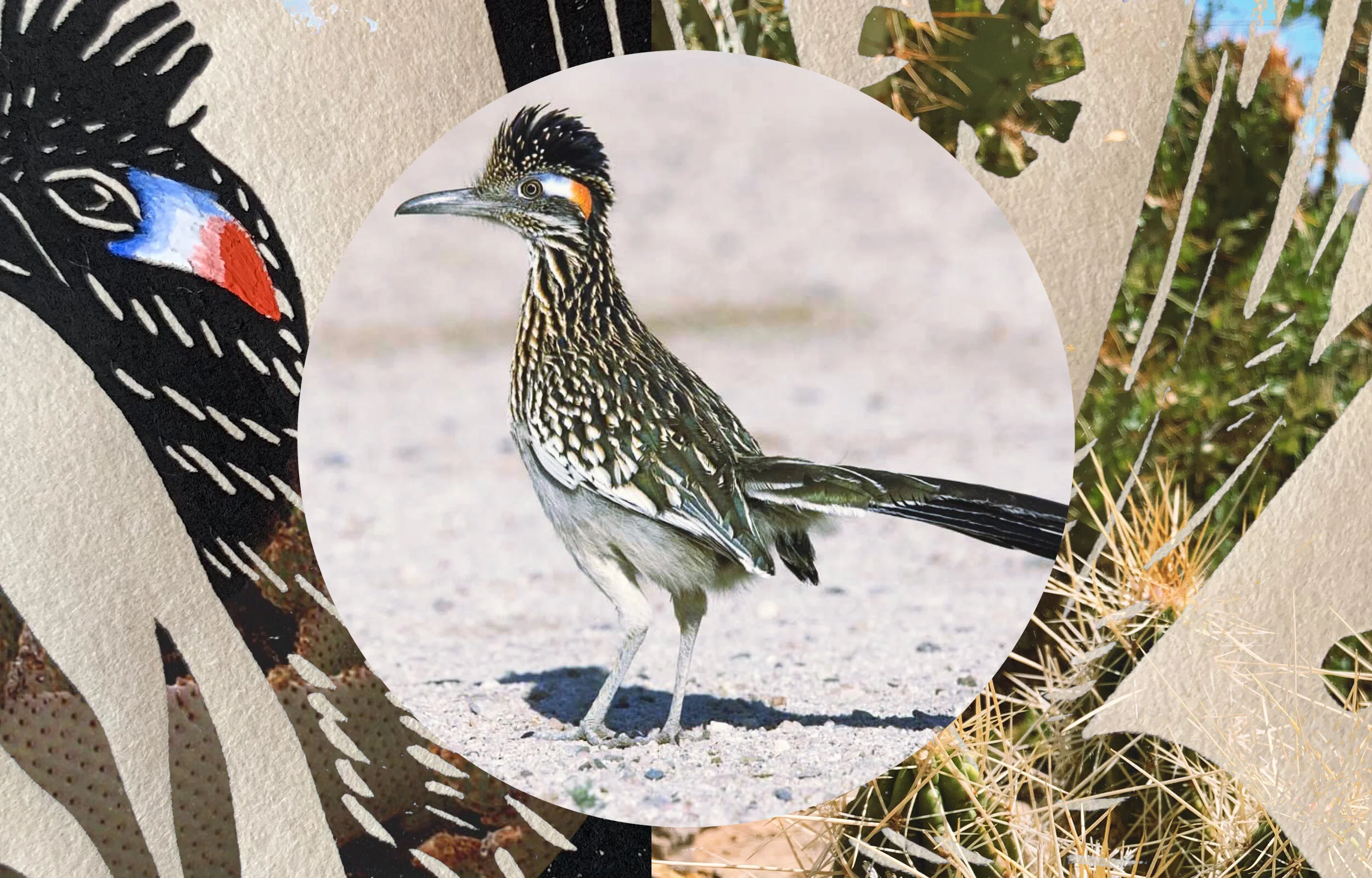 ROADRUNNER-INSPO.jpg