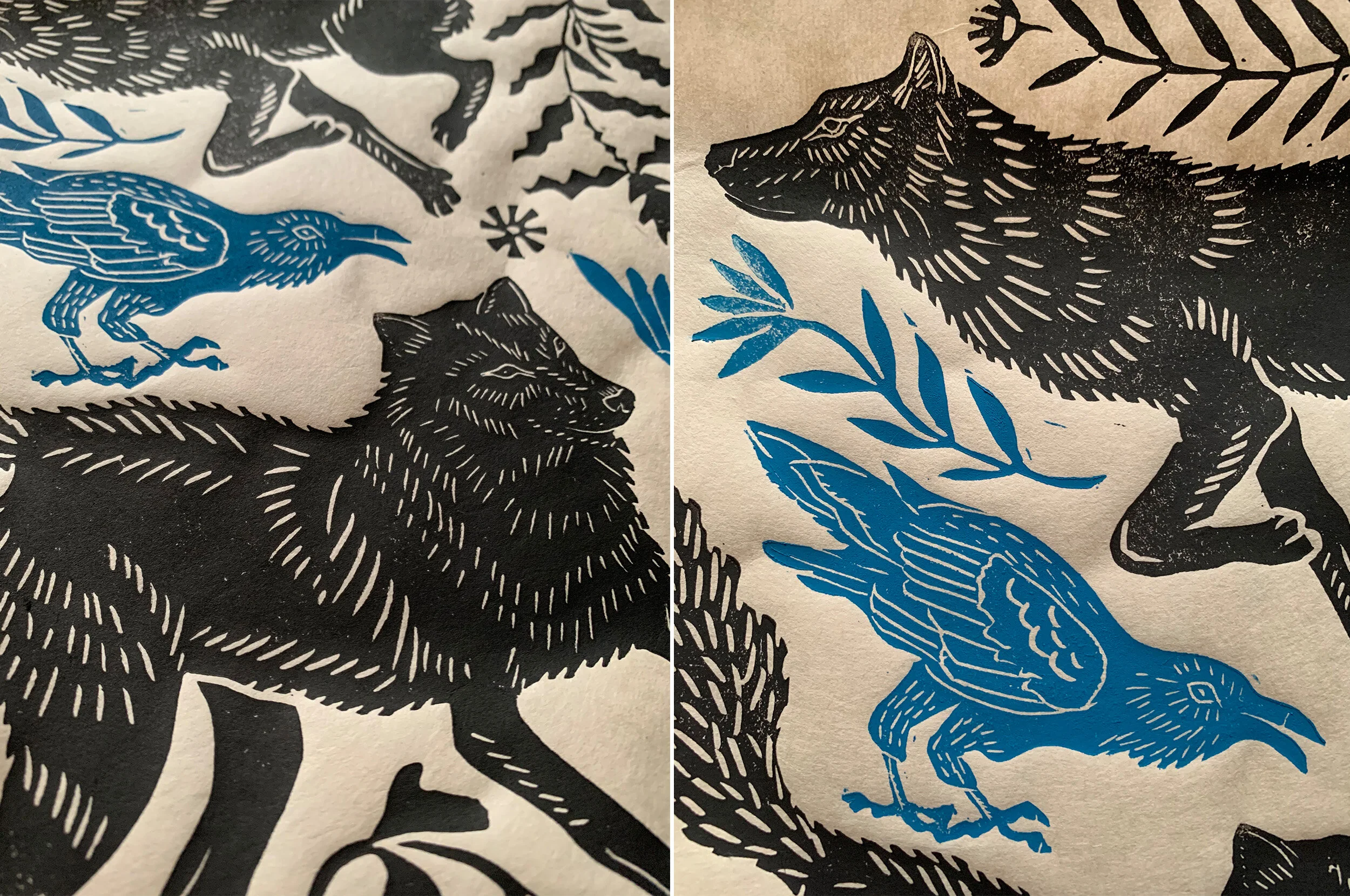WOLF RAVEN3.jpg