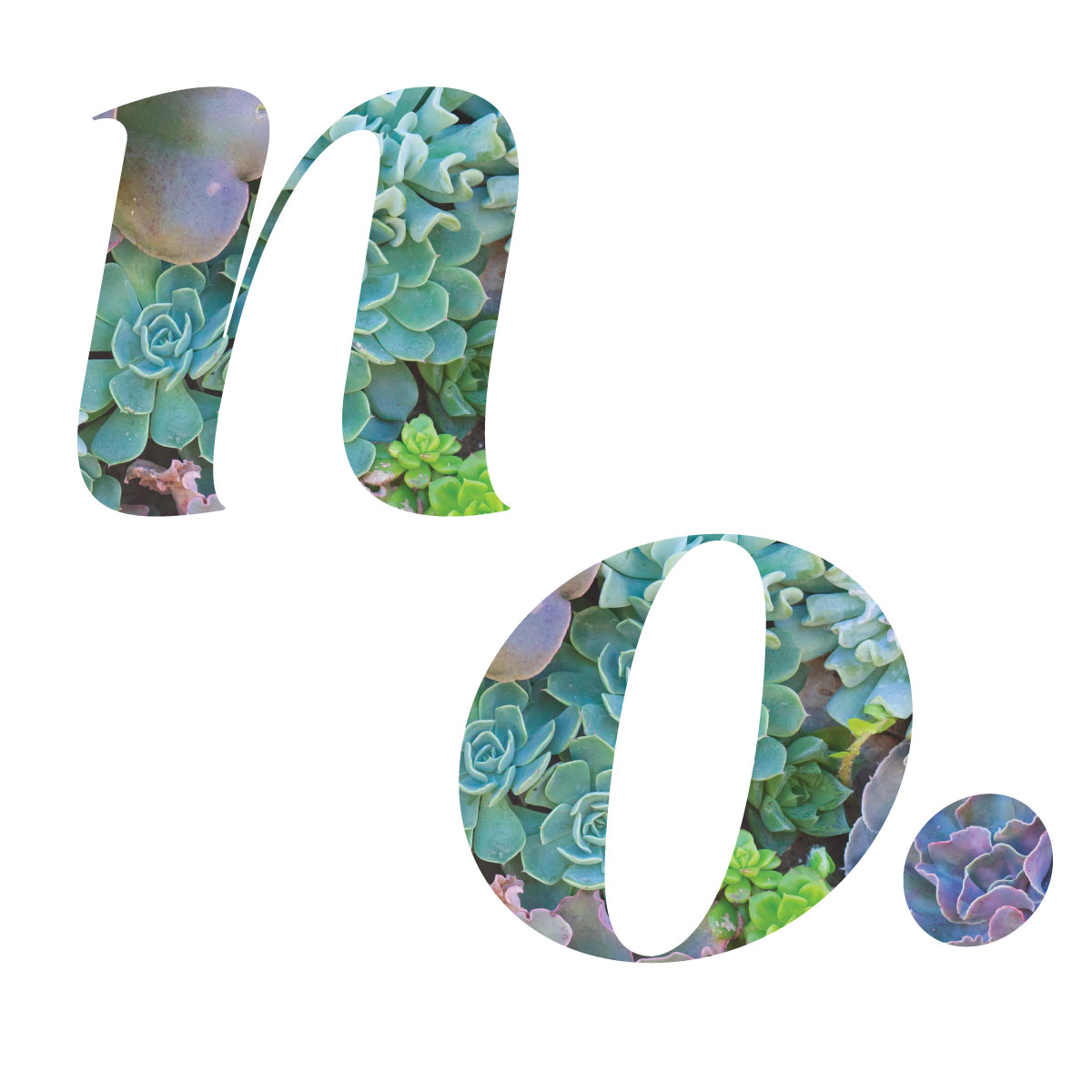 003-NO.jpg