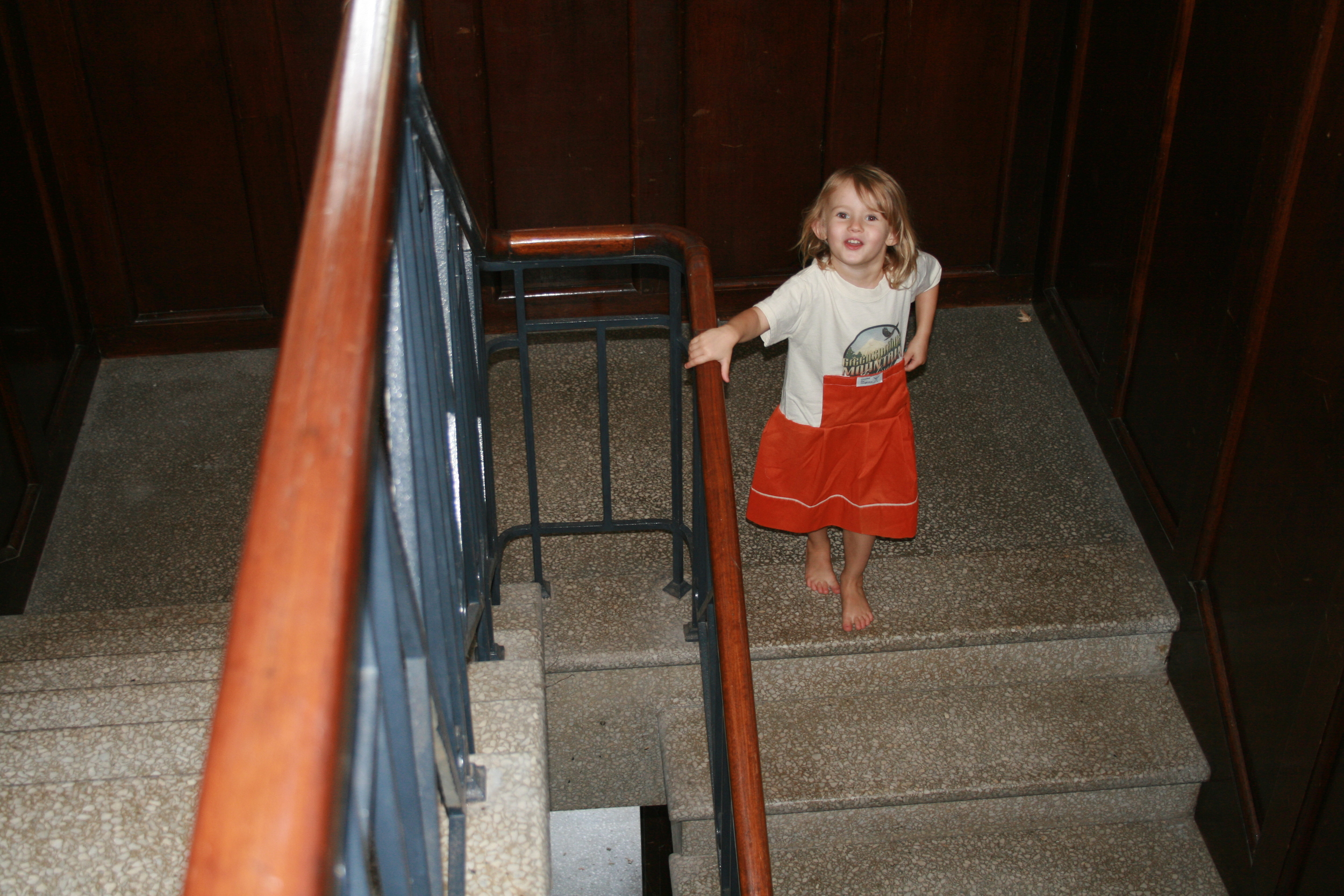 Zia orange on stairs.JPG