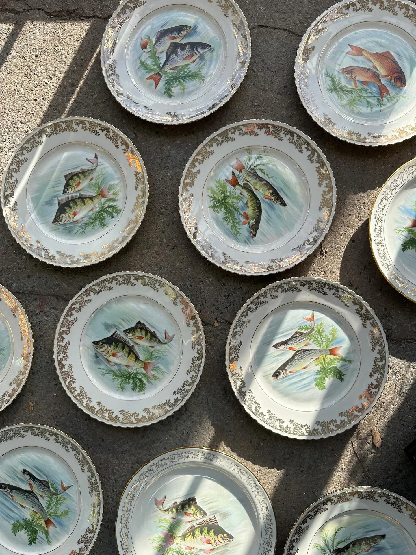 A dozen antique gilded Limoges porcelain fish plates.  Two slightly different edge patterns make up the dozen 9 1/4&rdquo; plates. $525 plus HST for the lot includes GTA delivery 🐟