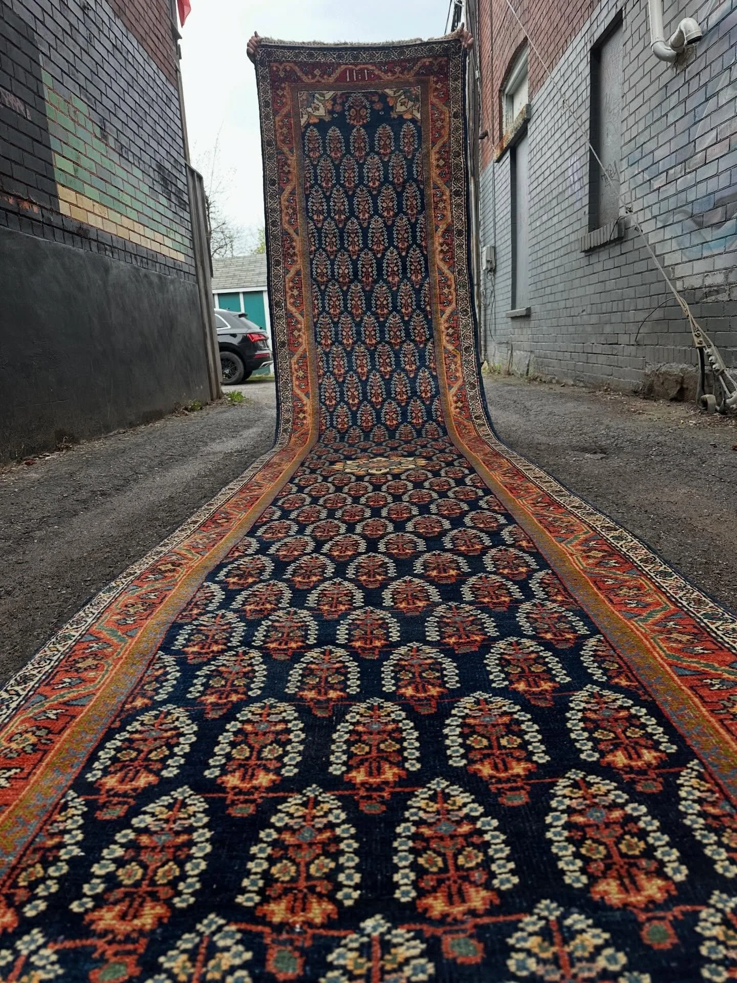 Glorious handknotted runner..Mashkin (?)&hellip;circa 1920s&hellip;224&rdquo; x 41&rdquo;&hellip;(eighteen and a half feet)&hellip;$1000 plus HST includes GTA delivery *all our rugs have been professionally cleaned ❤️