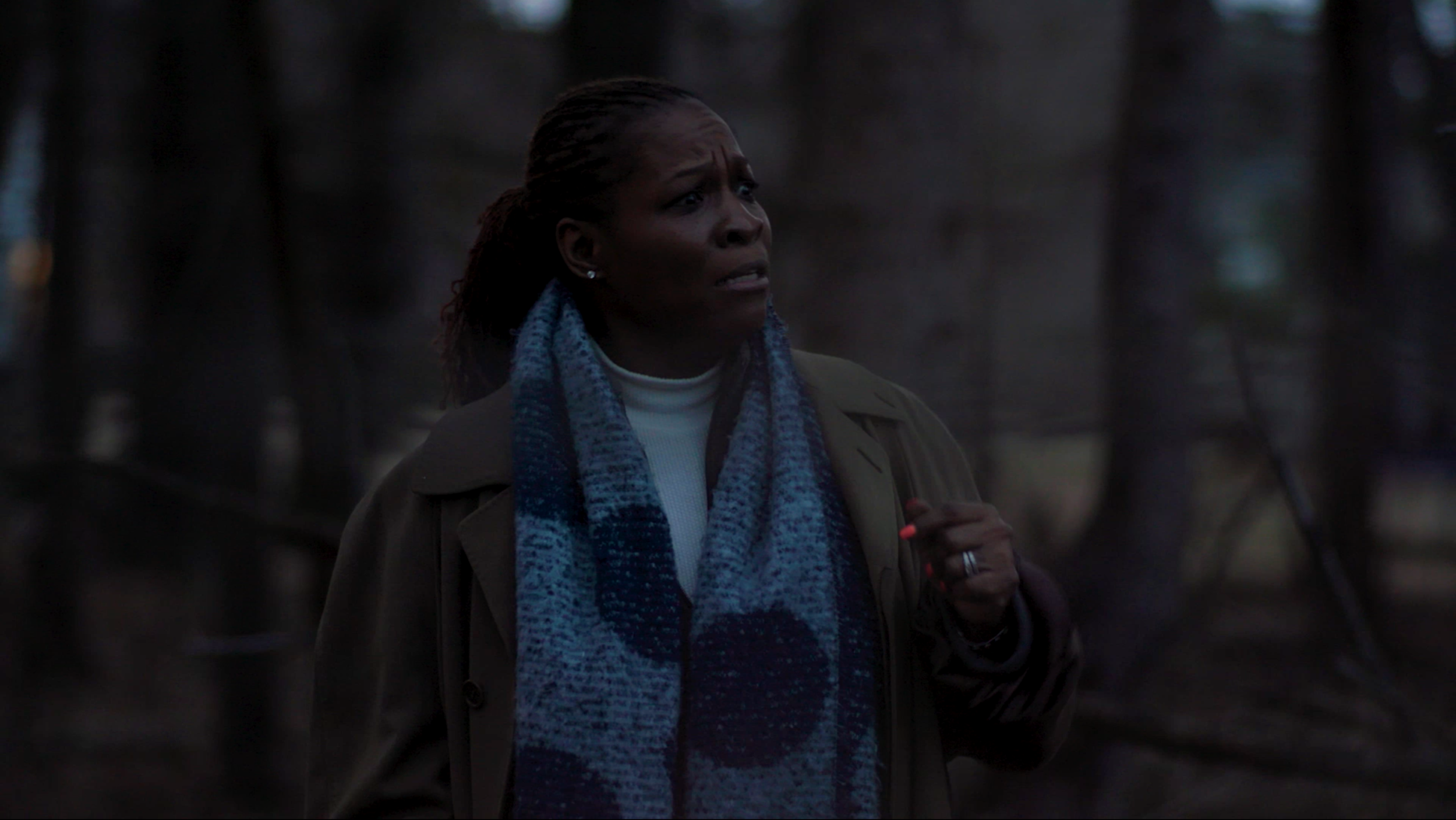 Screen Shot 2020-12-11 at 10.38.24 PM.png