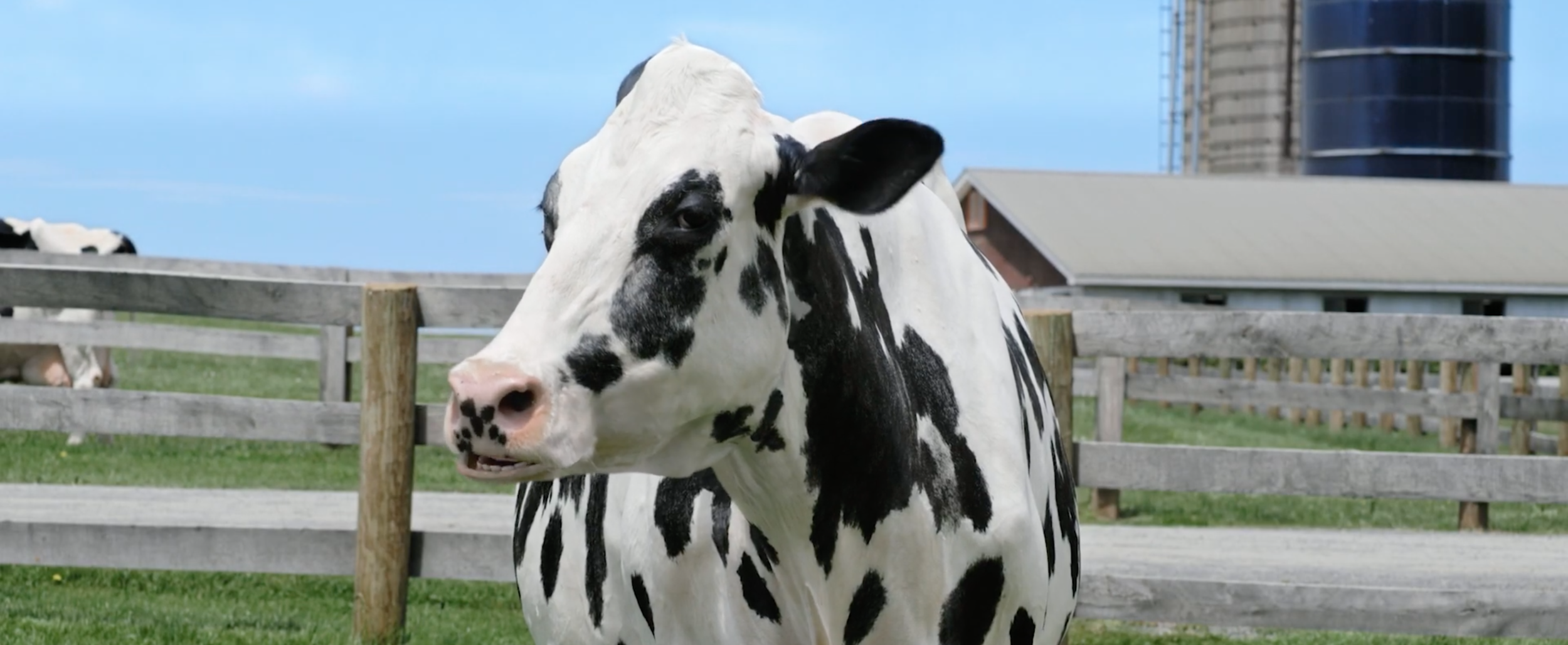 Screen Shot 2021-06-28 at 10.39.38 AM copy.PNG