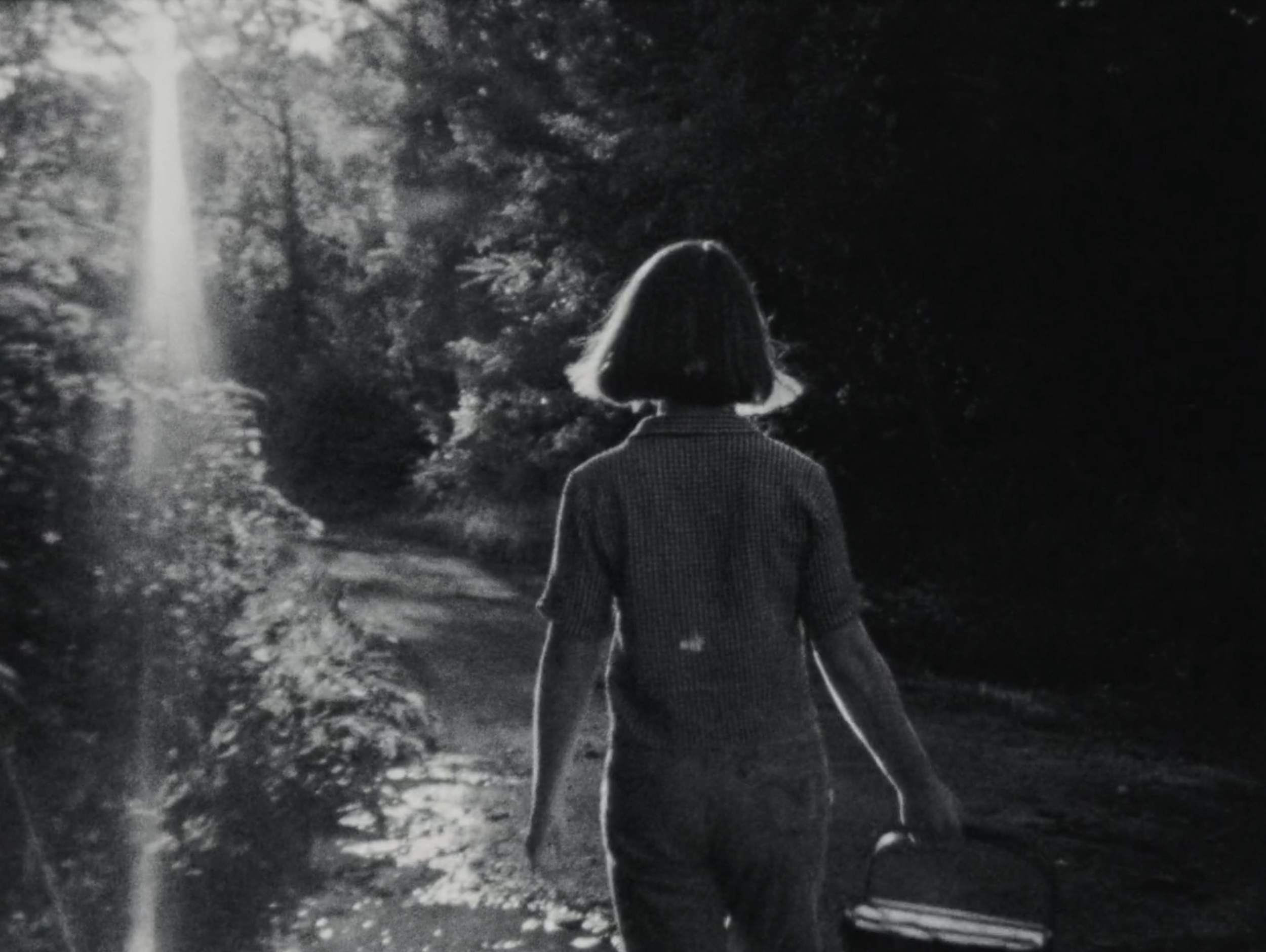 Screen Shot 2025-06-17 at 2.20.46 PM 3.png