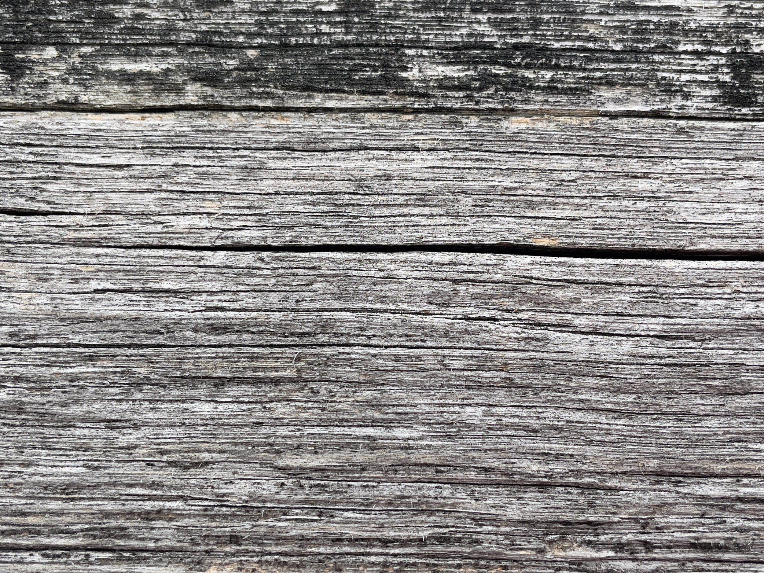 IMG_1835.jpeg