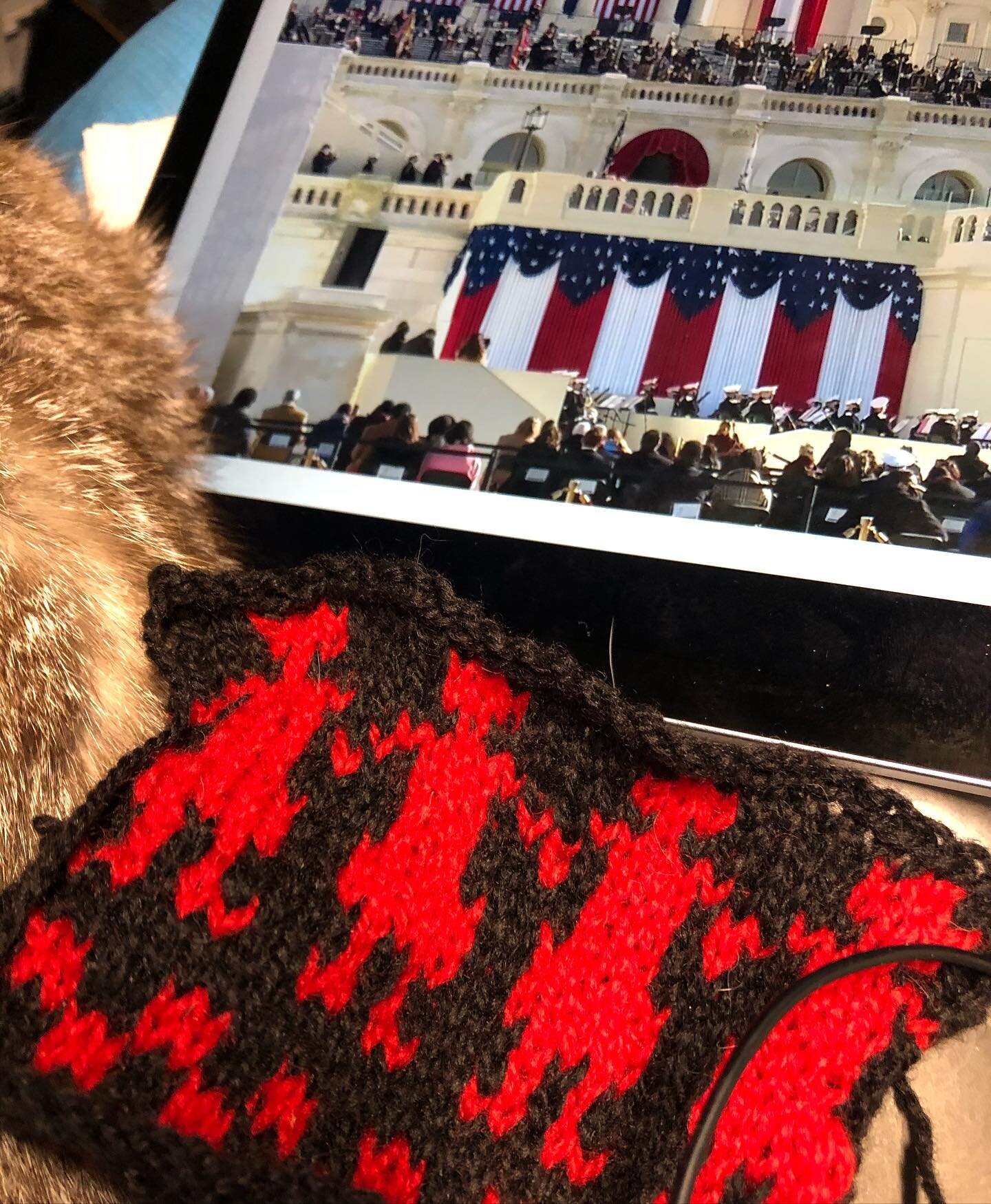 🧶New day new administration new sweater! Swatching ladies holding hands as @joebiden and @kamalaharris are sworn in. Casting on at the bottom edge, growing a knit as time goes on. The future remains, as always, unknitten. Cast on with me! Let&rsquo;