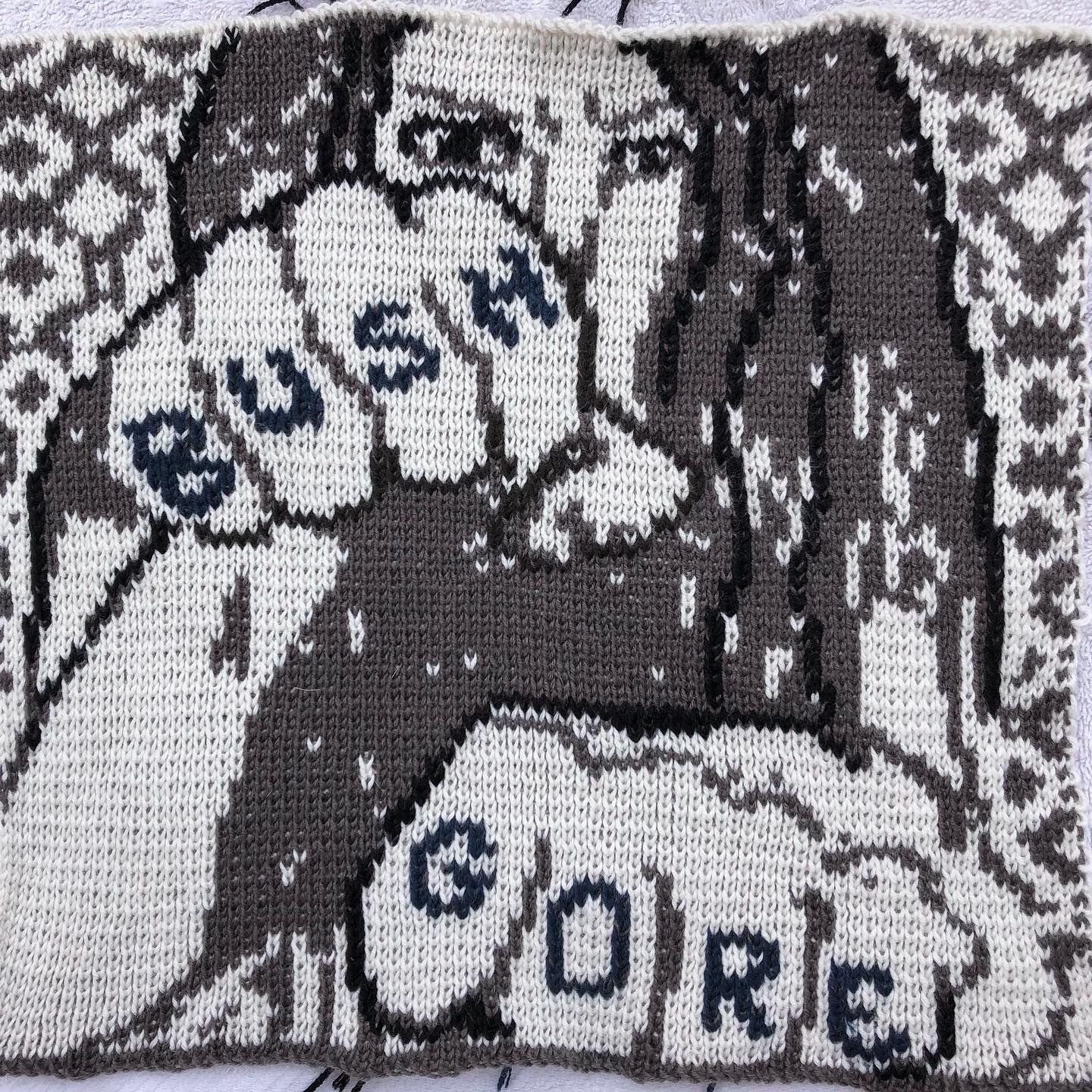 Approaching the day with caution and trepidation, Bush v Gore still rumbling around in my consciousness and too sad to even consider what might have been had the maker of An Inconvenient Truth been handed a victory by SCOTUS. Oh those hanging chads! 