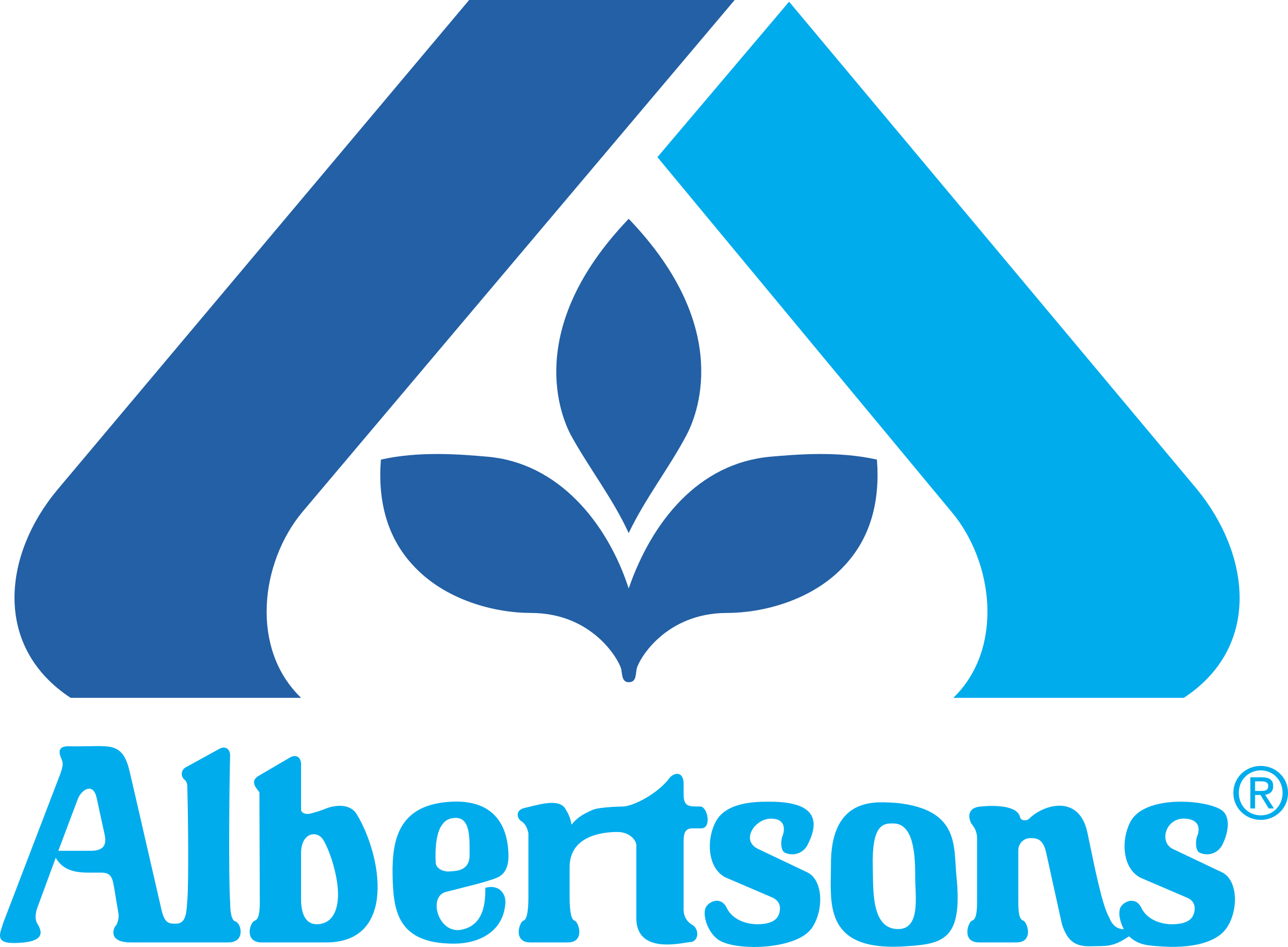 albertsons-1-logo-png-transparent.png