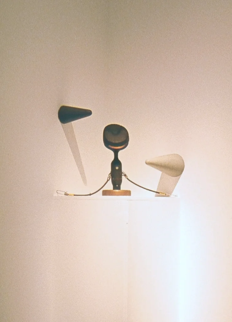 A 3d Mock-up of an Illustration of the retina from the book Ocular Anatomy & Histology (Fig 39a, cones)