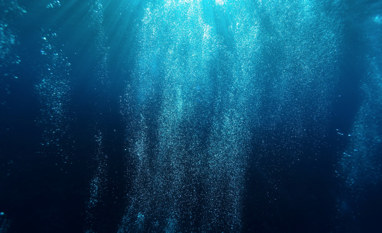 Screen Shot 2023-09-01 at 4.36.49 PM.png