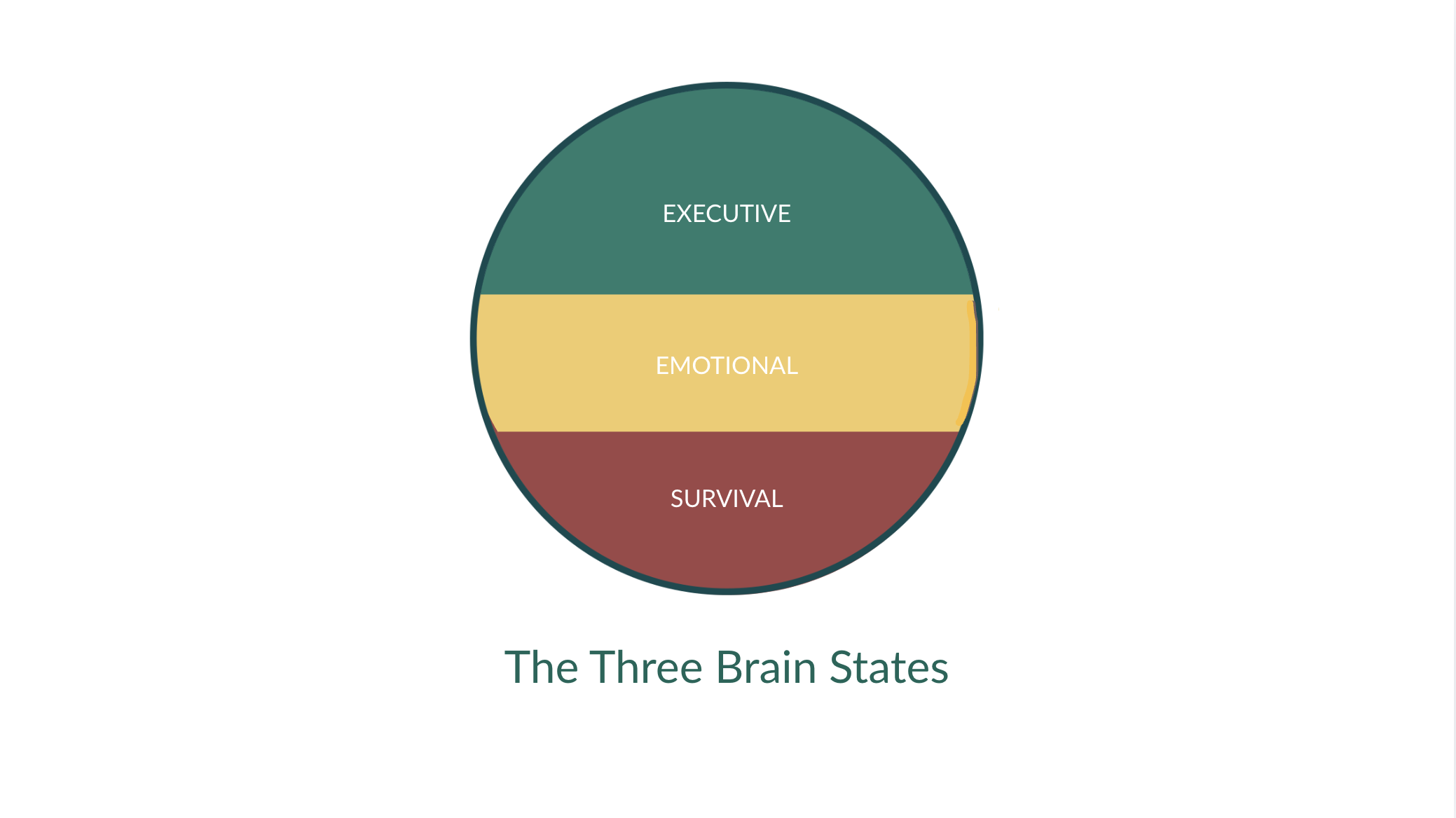 circle divided into three sections, indicating the executive state, the emotional state, and the survival state