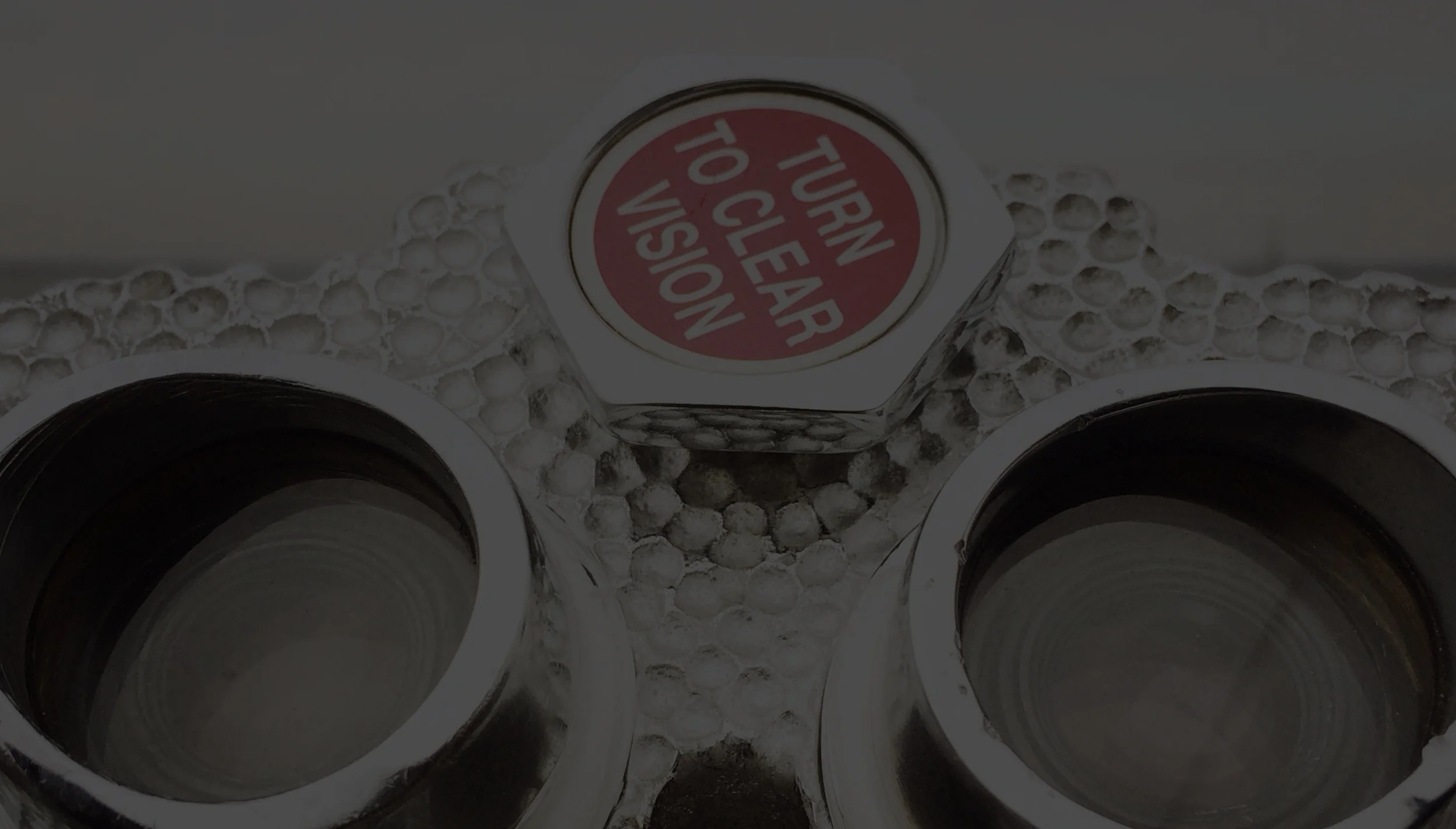 RDF-Clear Vision.jpg