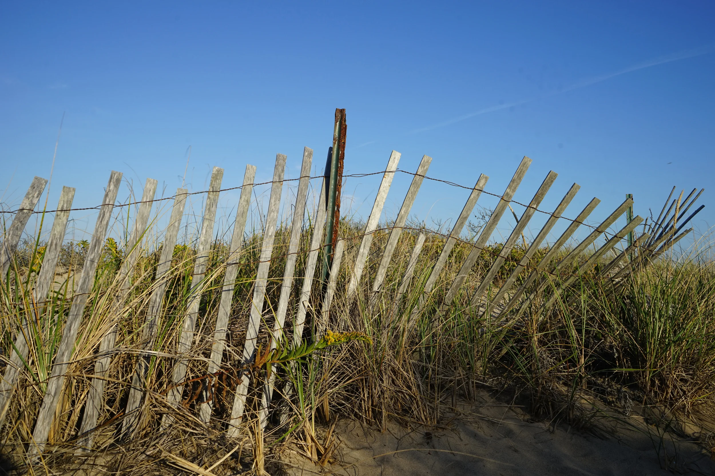 Dune Arrested - 2 .jpg