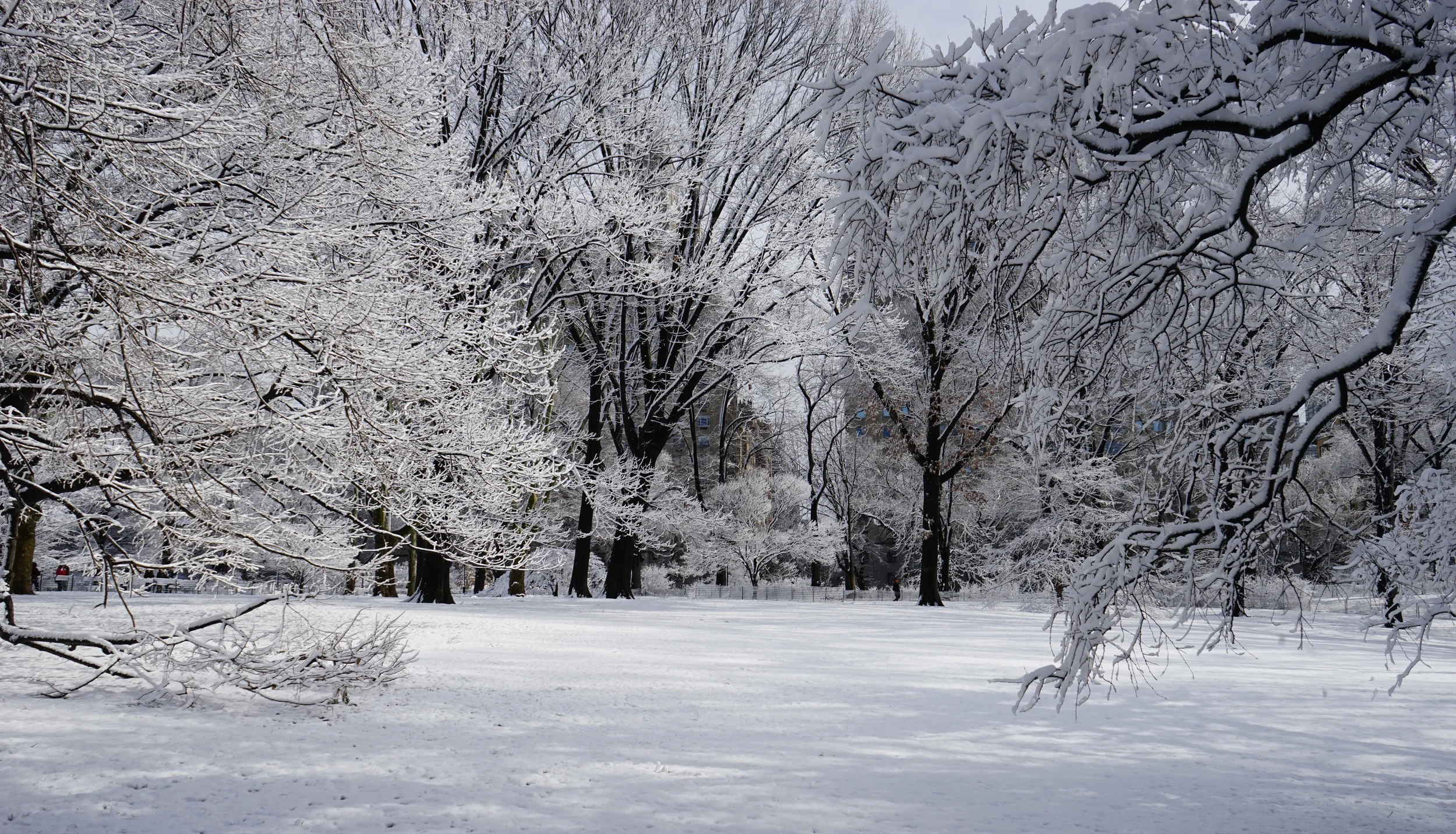 Lace Snow - 12.jpg