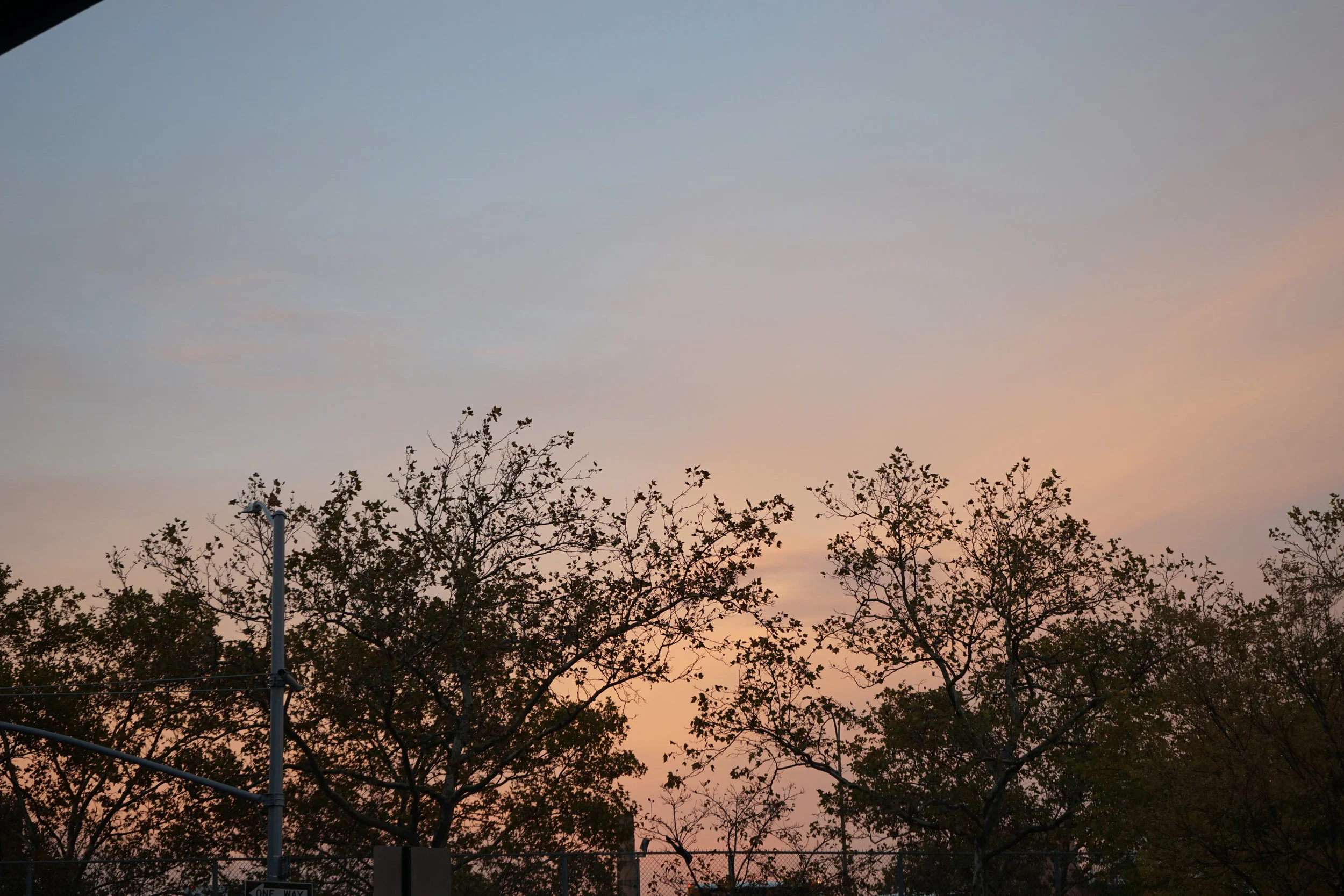 November - Court Sunset - 1.jpg