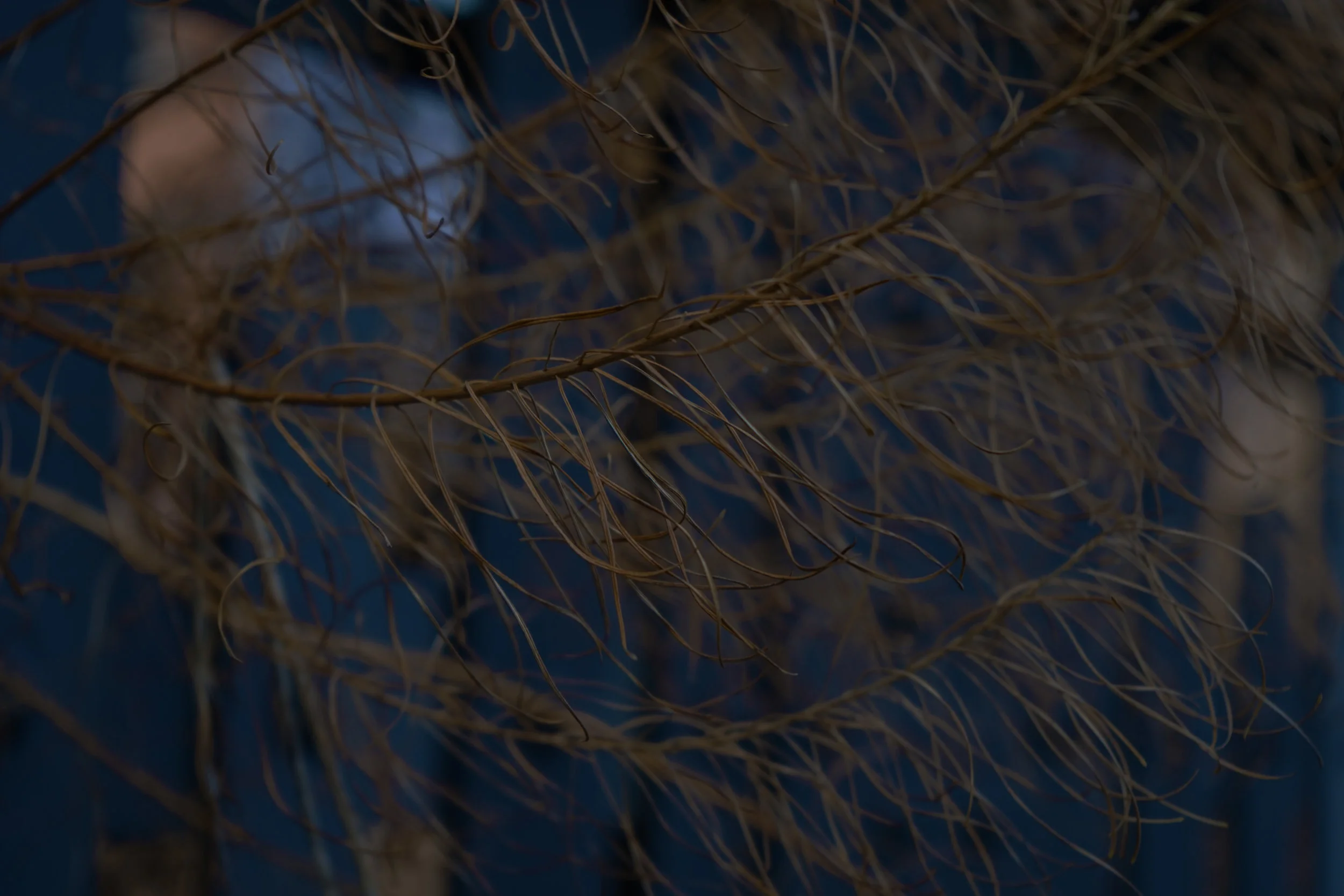 February 24 2017 - Highline - 7.2.jpg