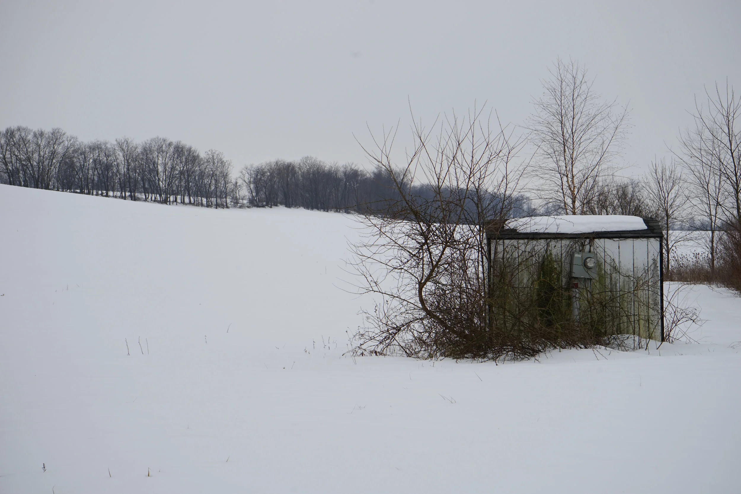 On White - 25.jpg