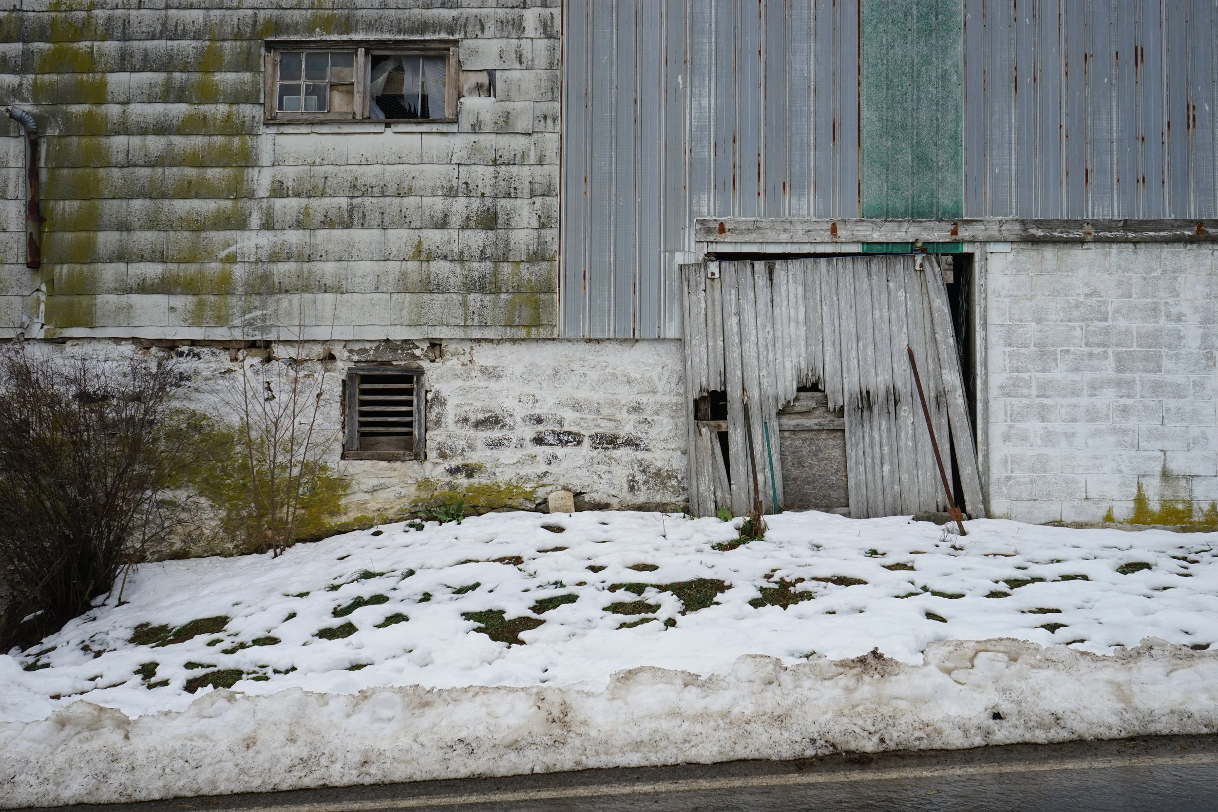 On White - 32 .jpg