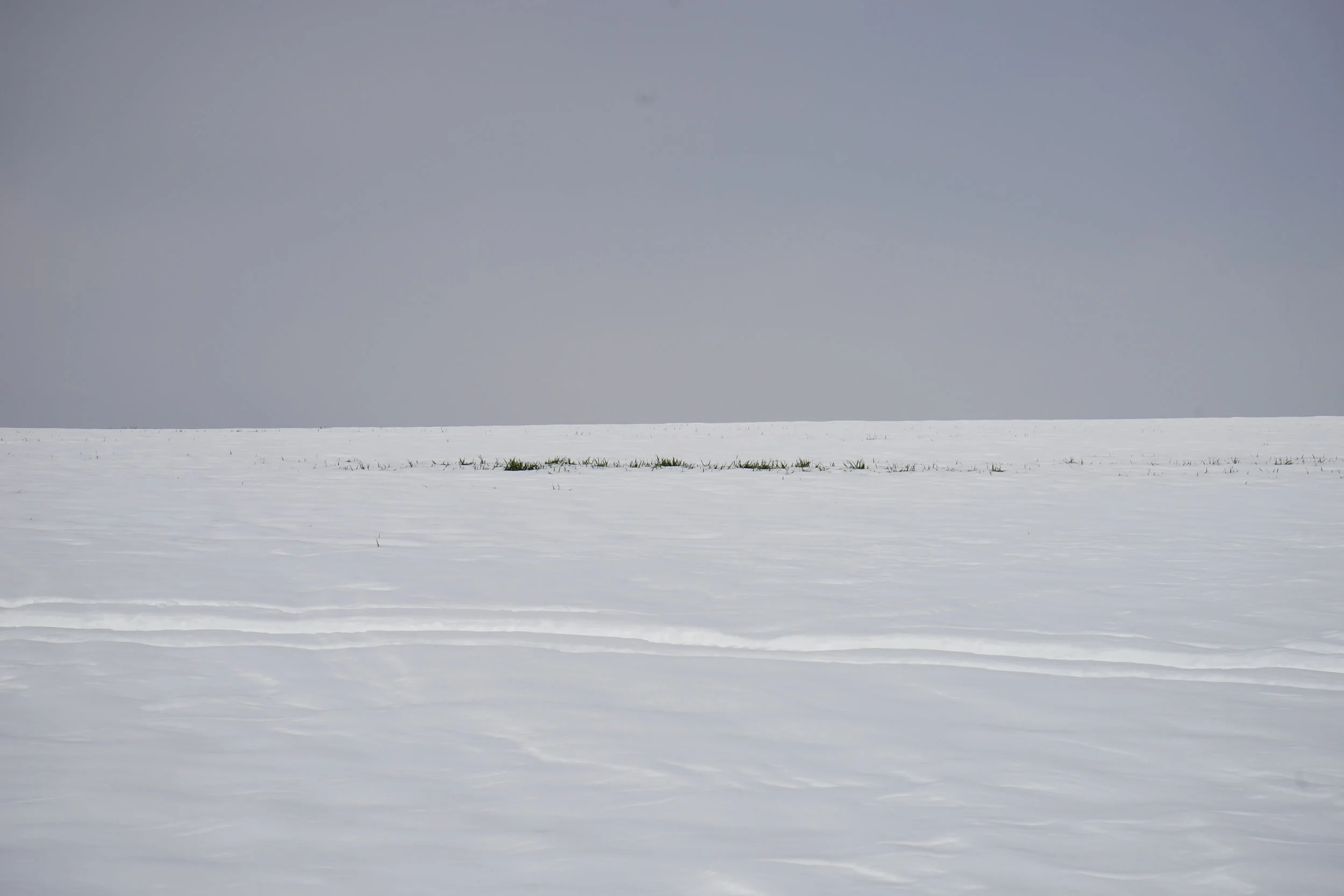 On White - 41 .jpg