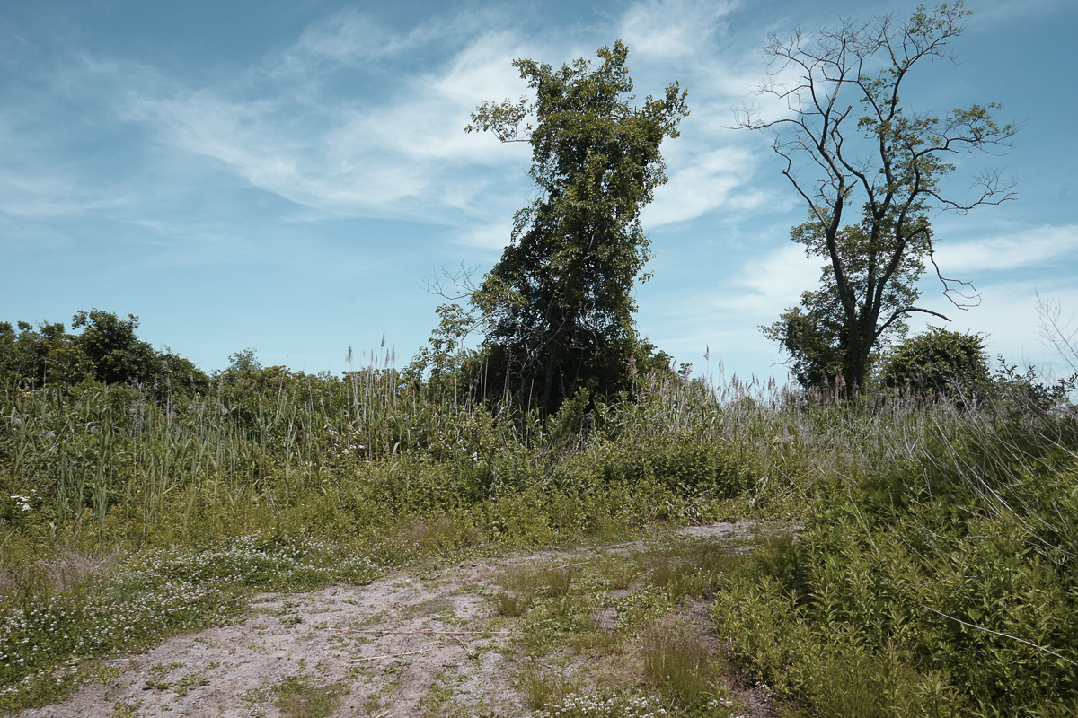 June 2019 - Location 1