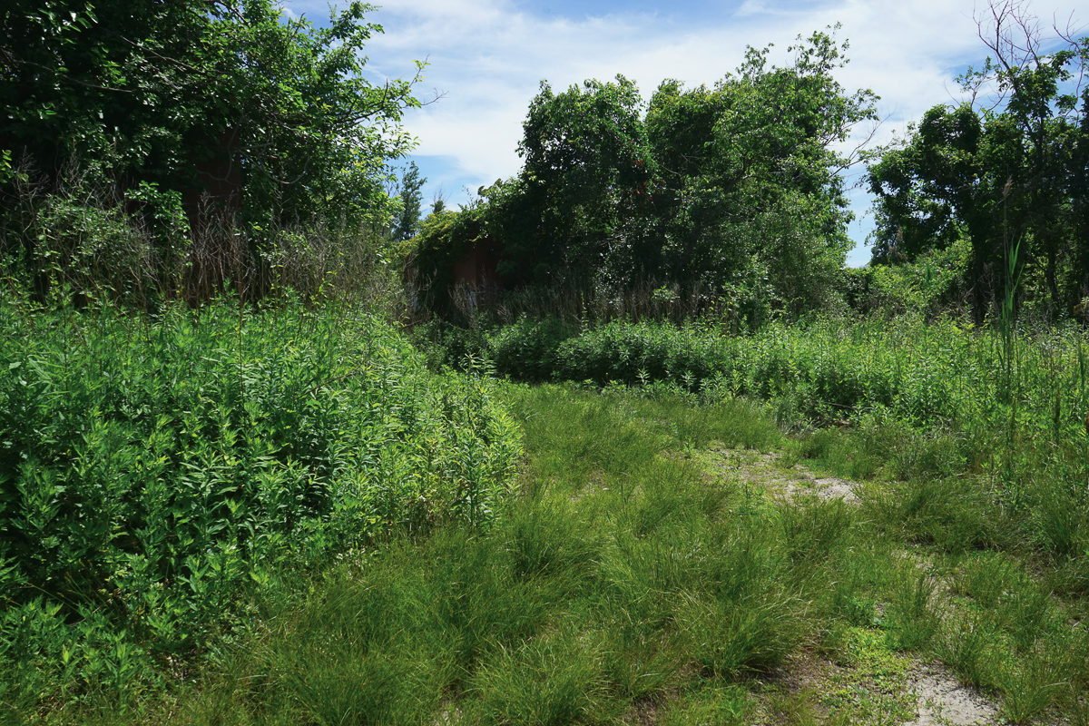 June 2019 - Location 1