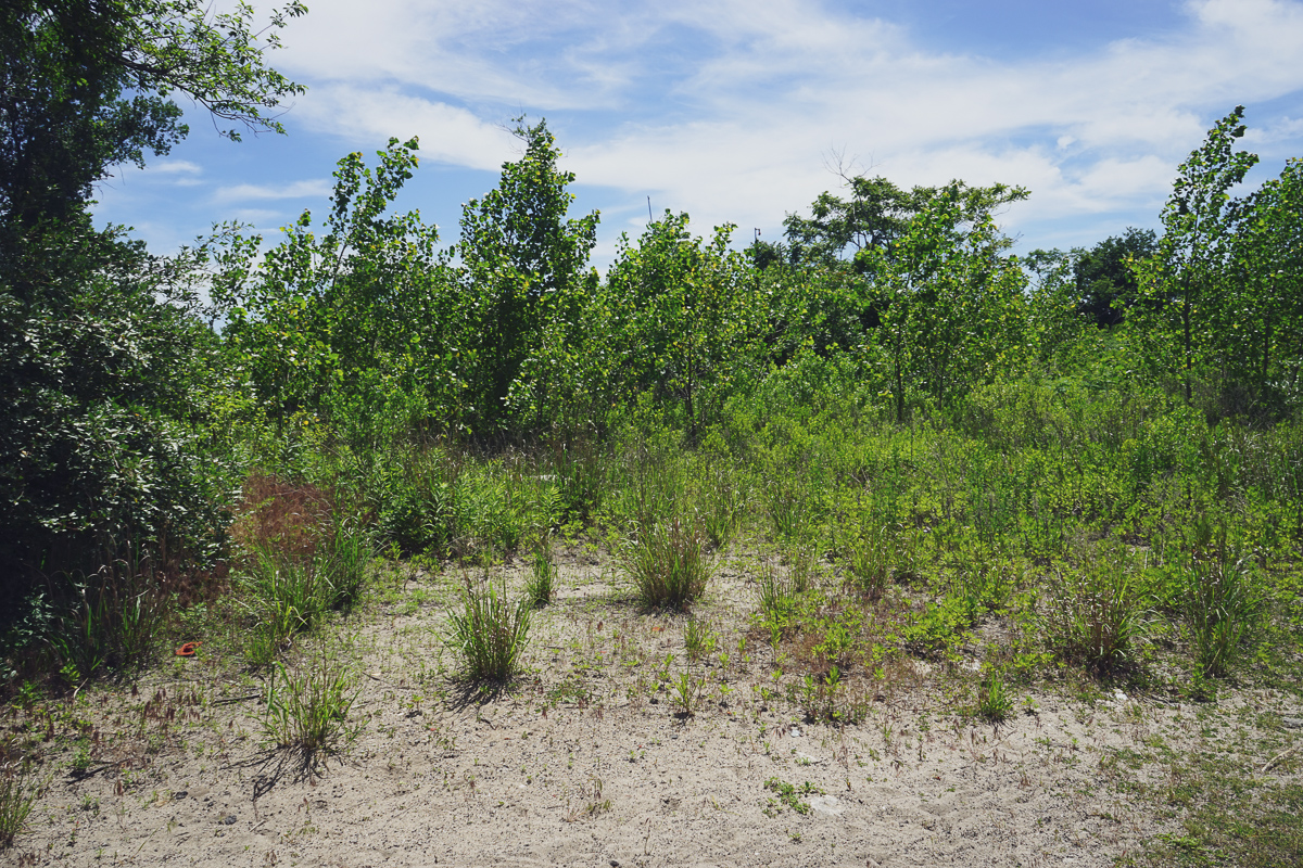 June 2019 - Location 2