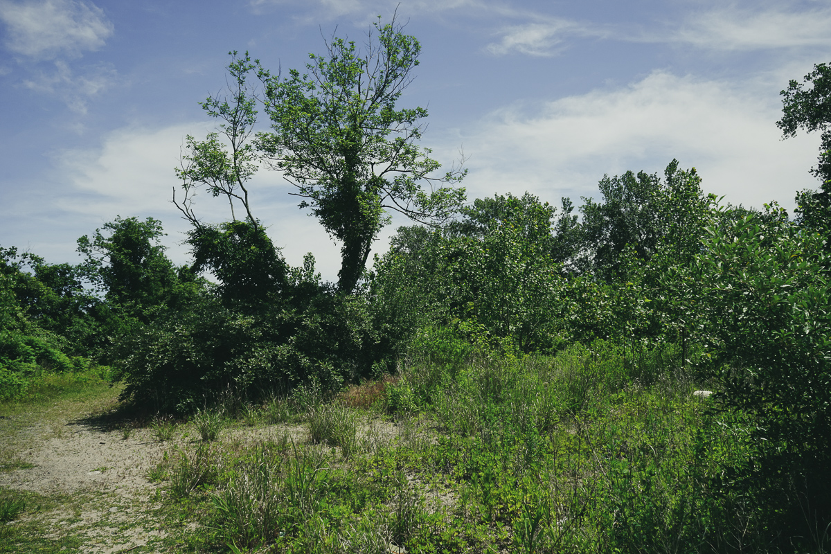 June 2019 - Location 2