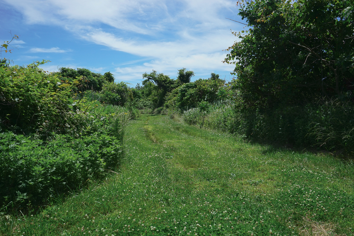 June 2019 - Location 3