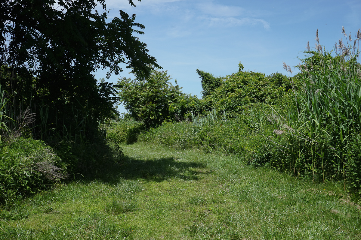 June 2019 - Location 3