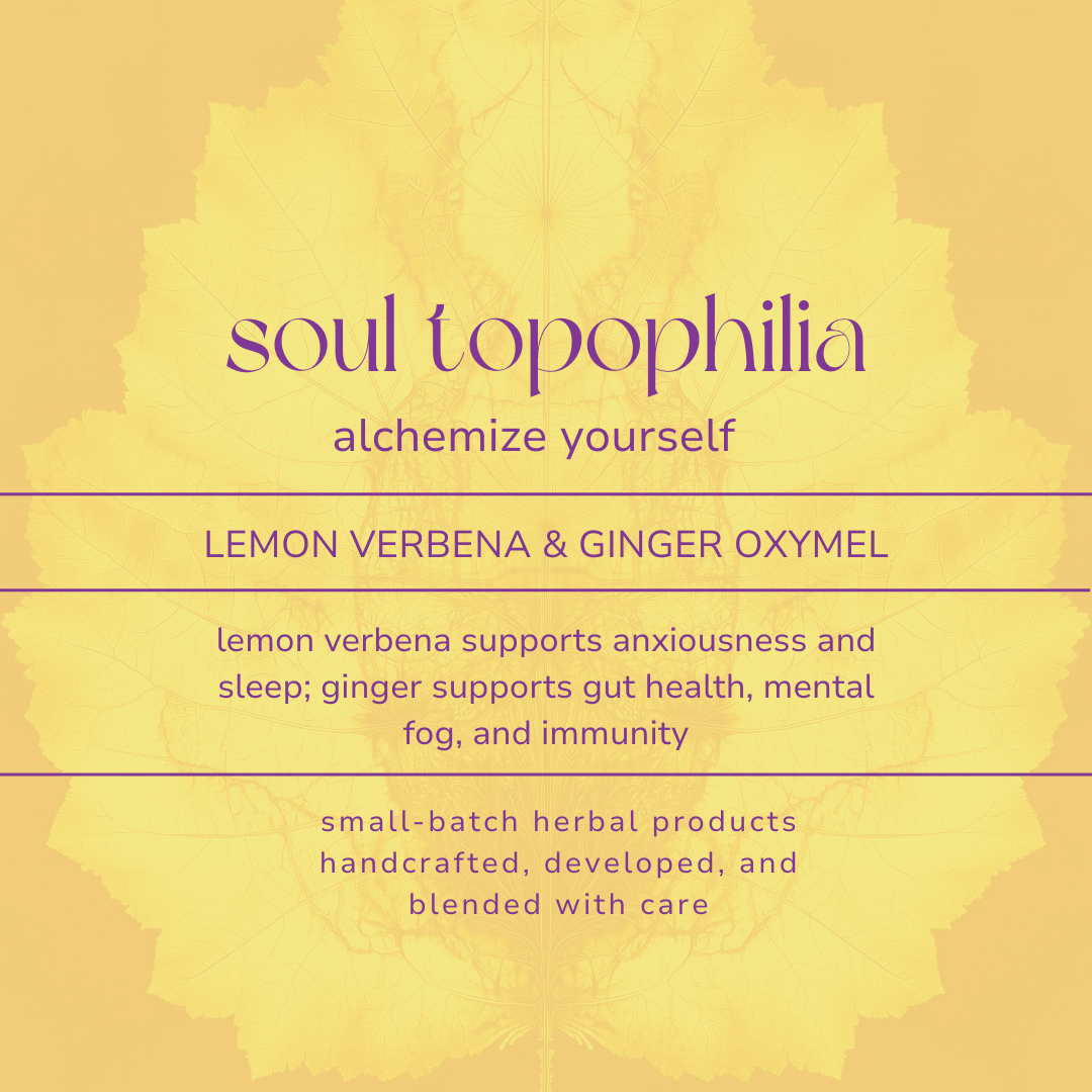 oxymel verbena and ginger for website.png