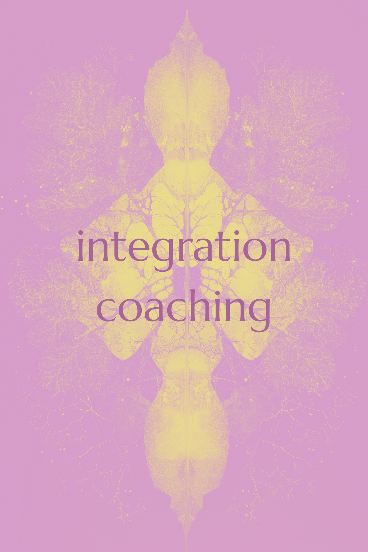 Integration Coaching