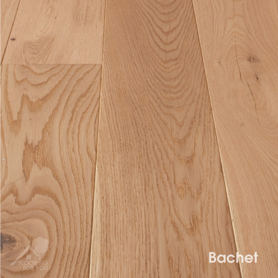 Bachet.png
