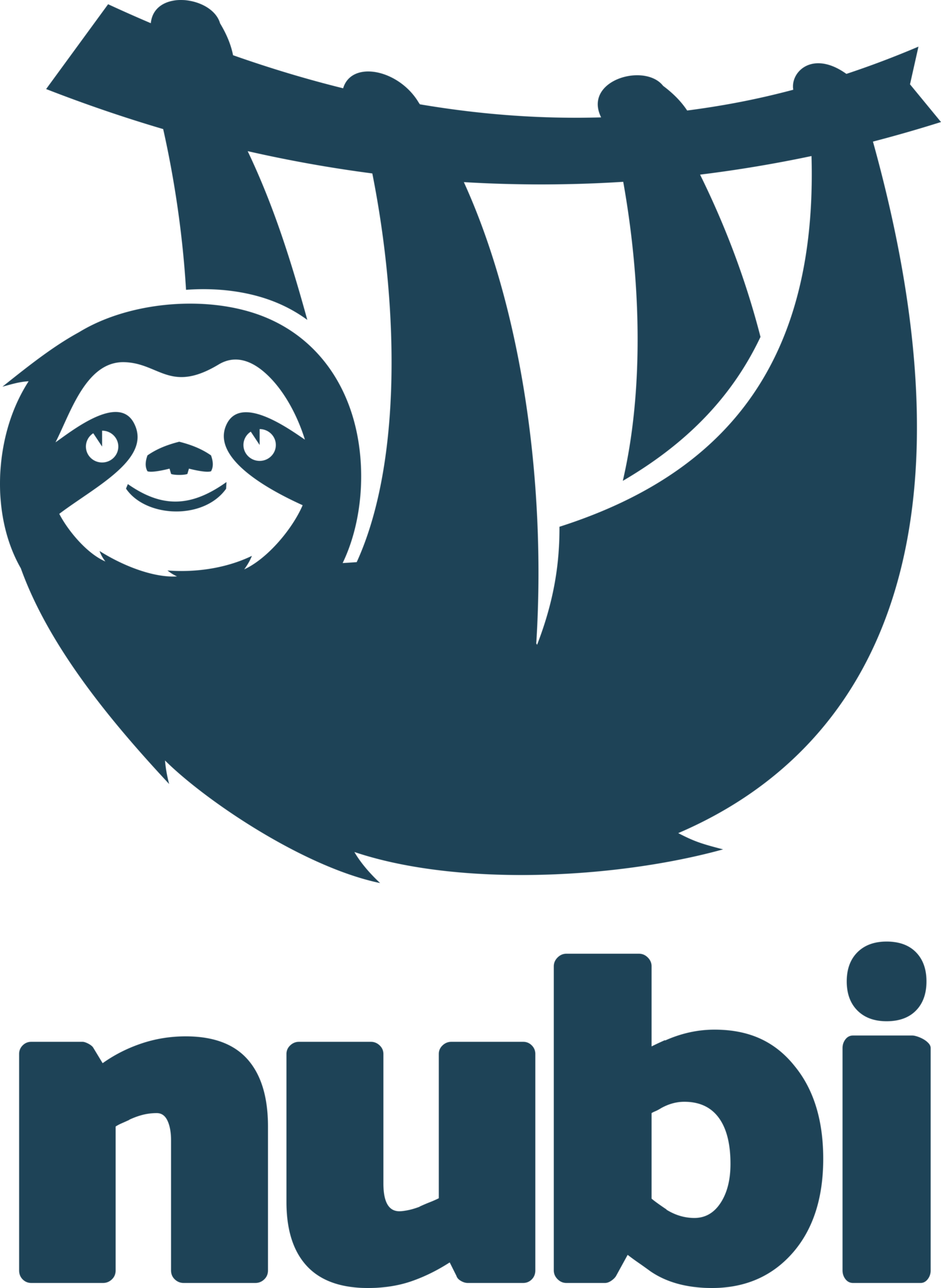Nubi - Transformación Digital