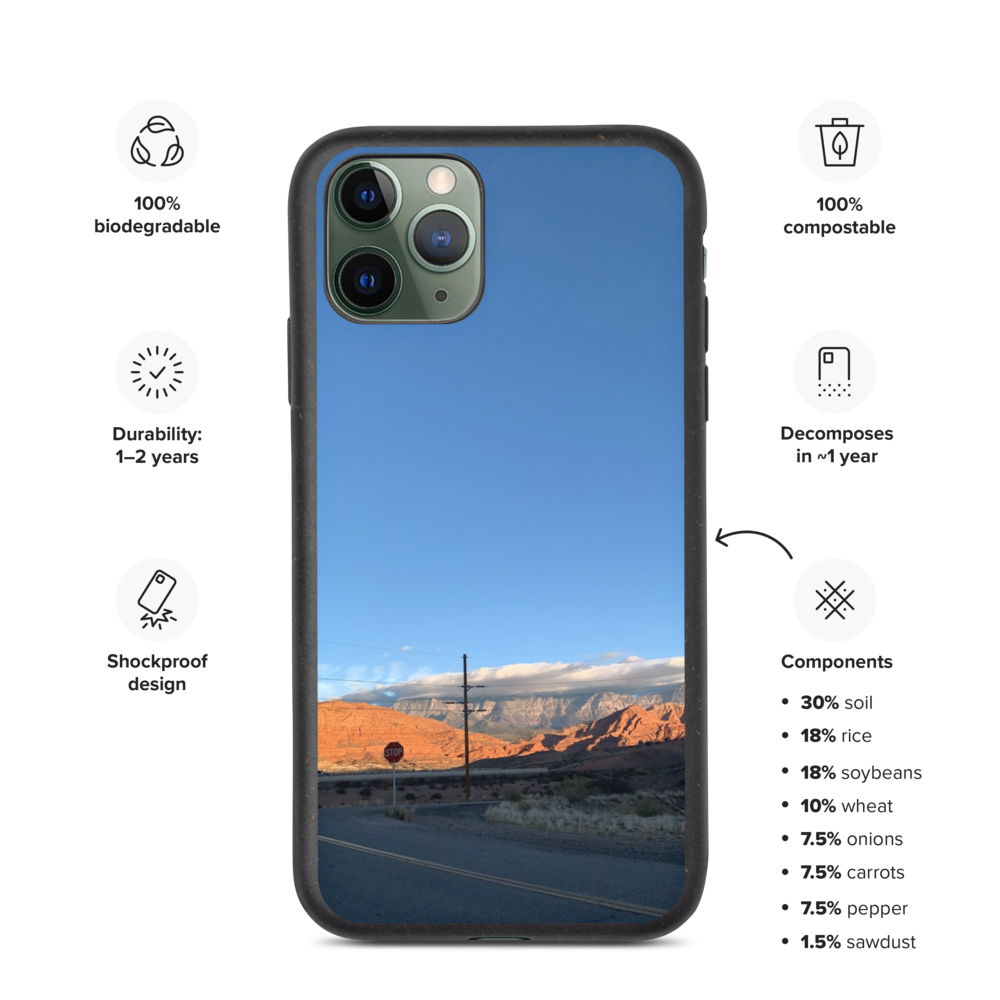 biodegradable-iphone-case-iphone-11-pro-case-on-phone-61b60f20cc7f8.png